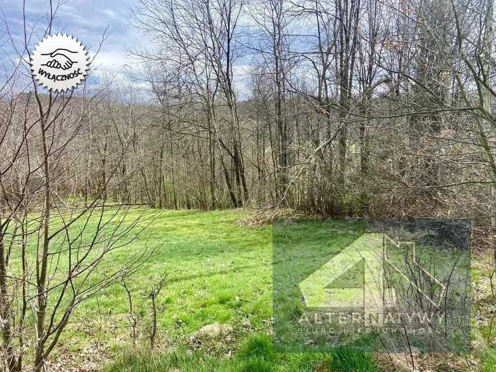 Działka budowlana 1 hektar gmina Mogilany! 2