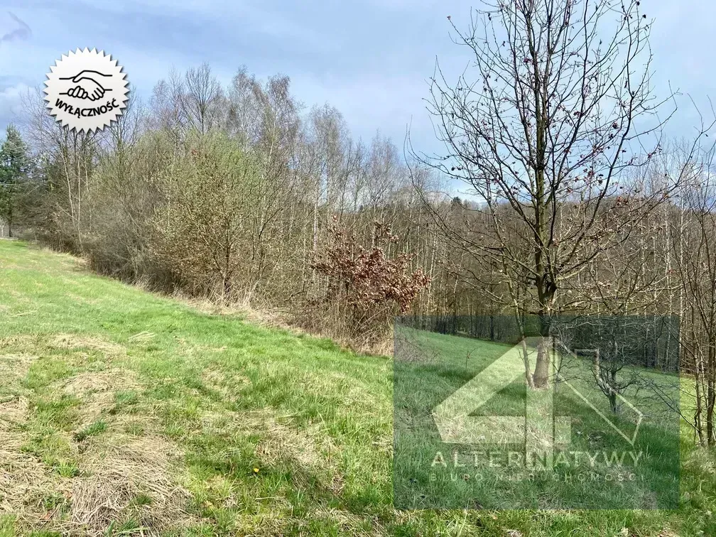 Działka budowlana 1 hektar gmina Mogilany! 5