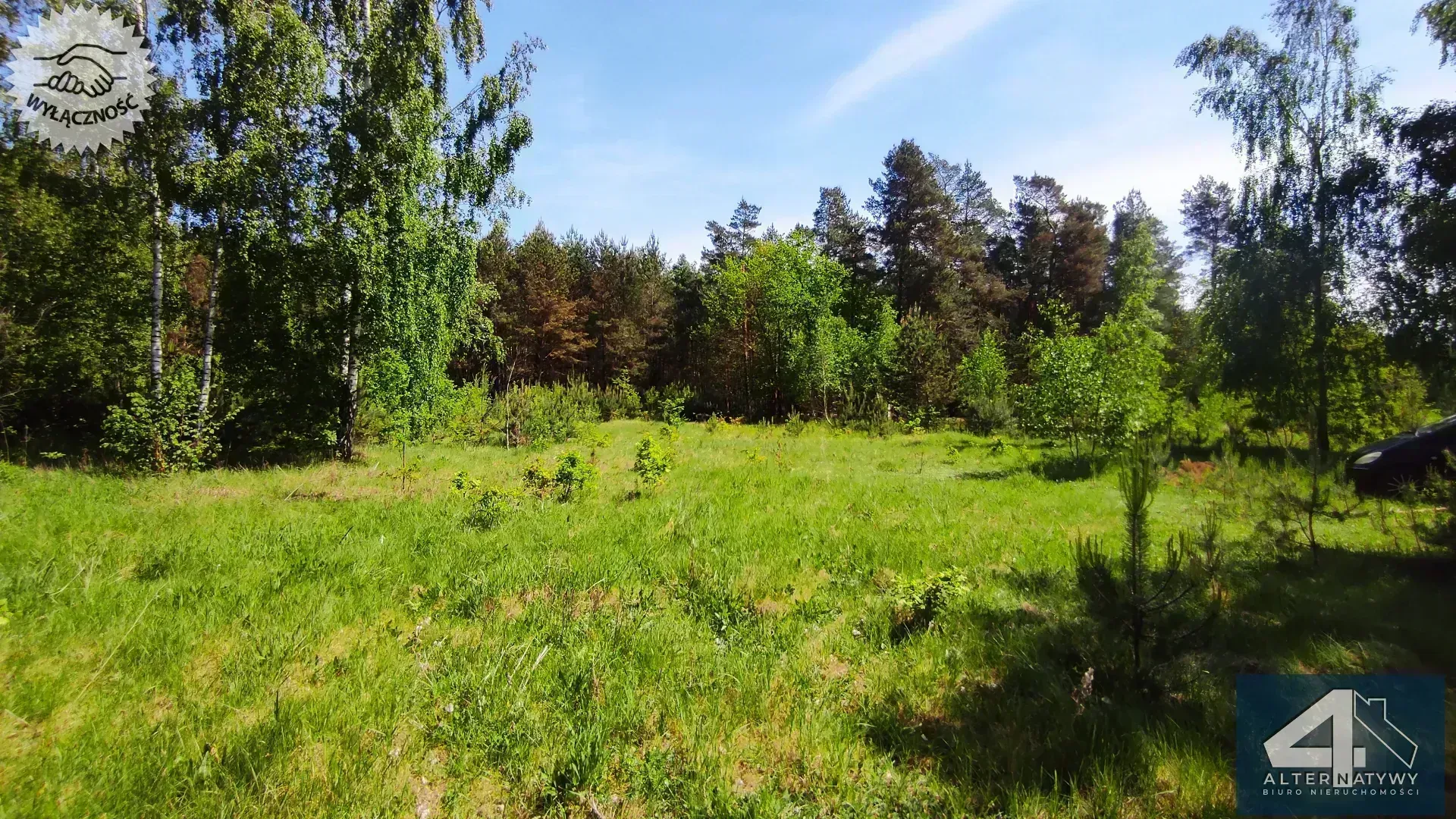 Działka blisko lasu i stawów. 6