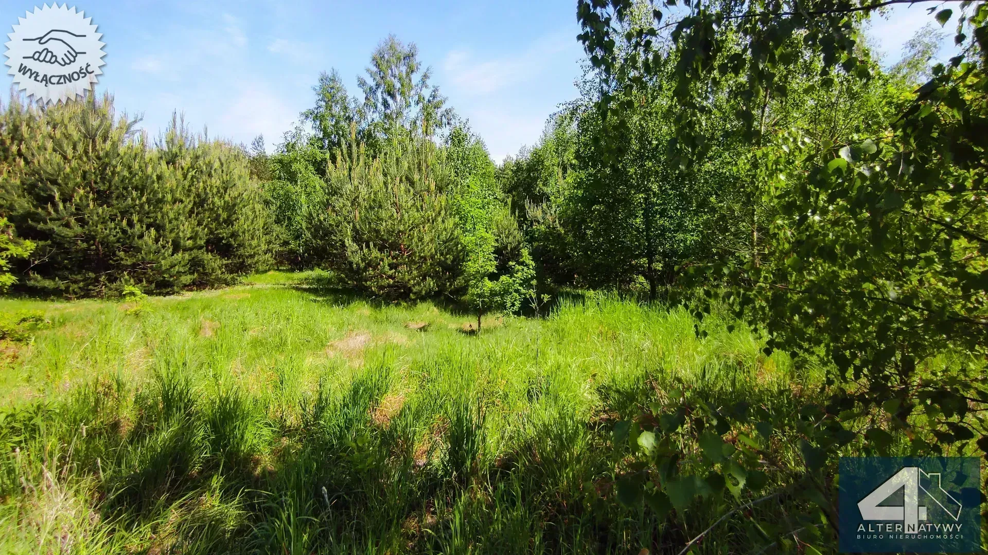 Działka blisko lasu i stawów. 7