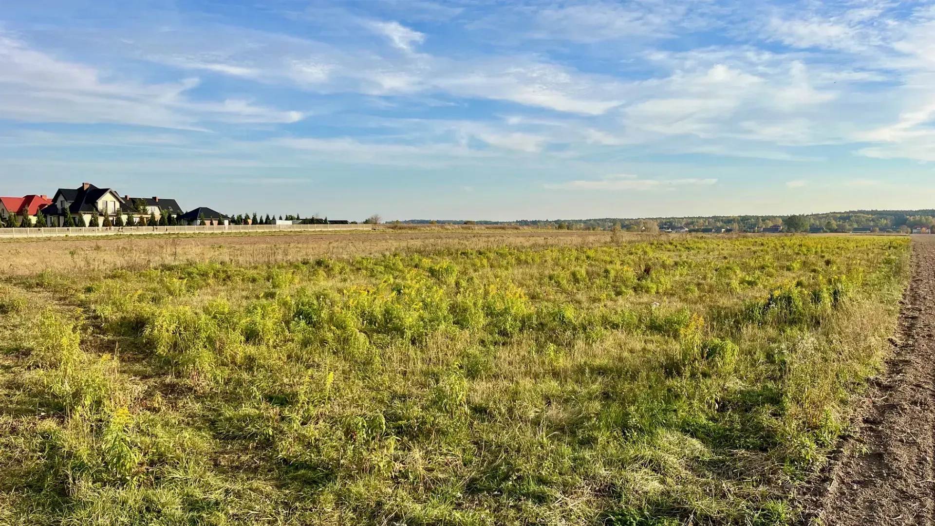 Duża działka inwestycyjna 6000 m2 budowlanego 15