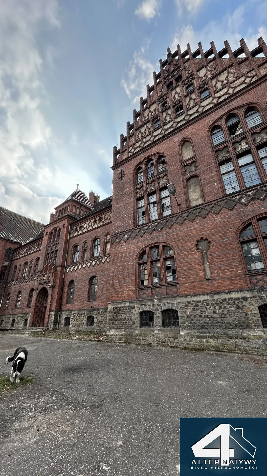 Palais- Paleja- Pałac W Pszczynie 25