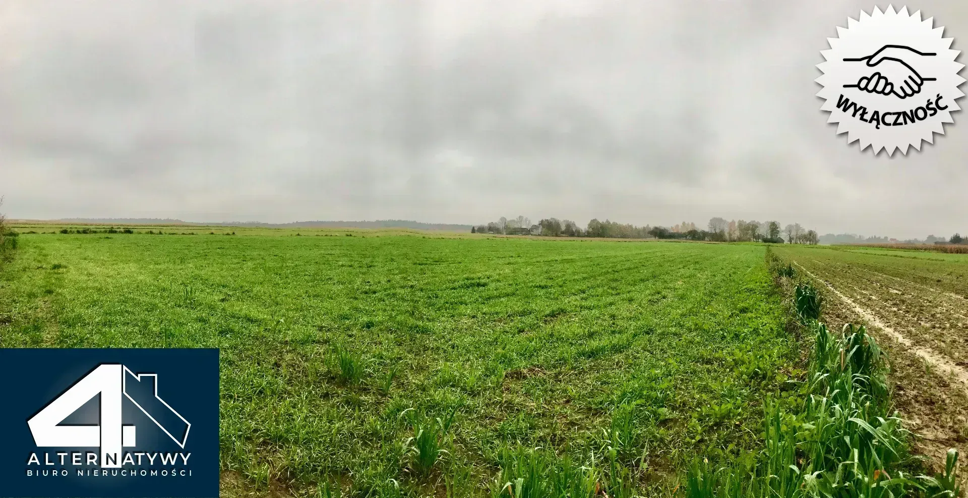 Działka 30 arów, Poskwitów gm. Iwanowice 2