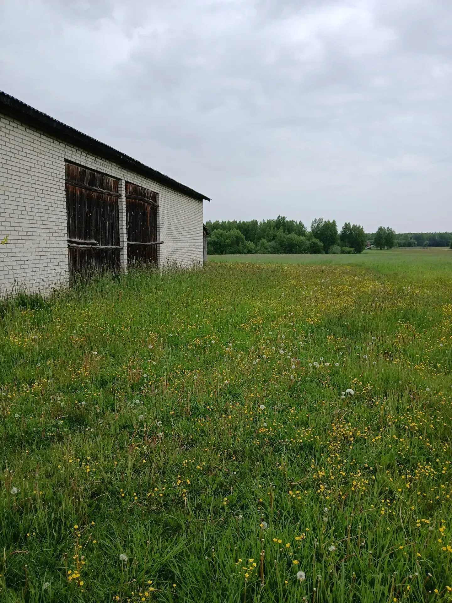 Rolno - siedliskowa - 4,3 ha. i 3,3 ha lasu, 2