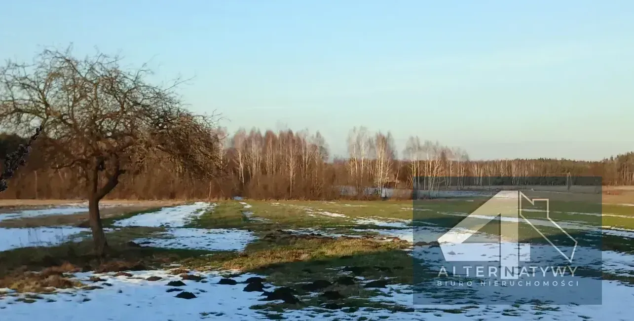 Rolno - siedliskowa - 4,3 ha. i 3,3 ha lasu, 5