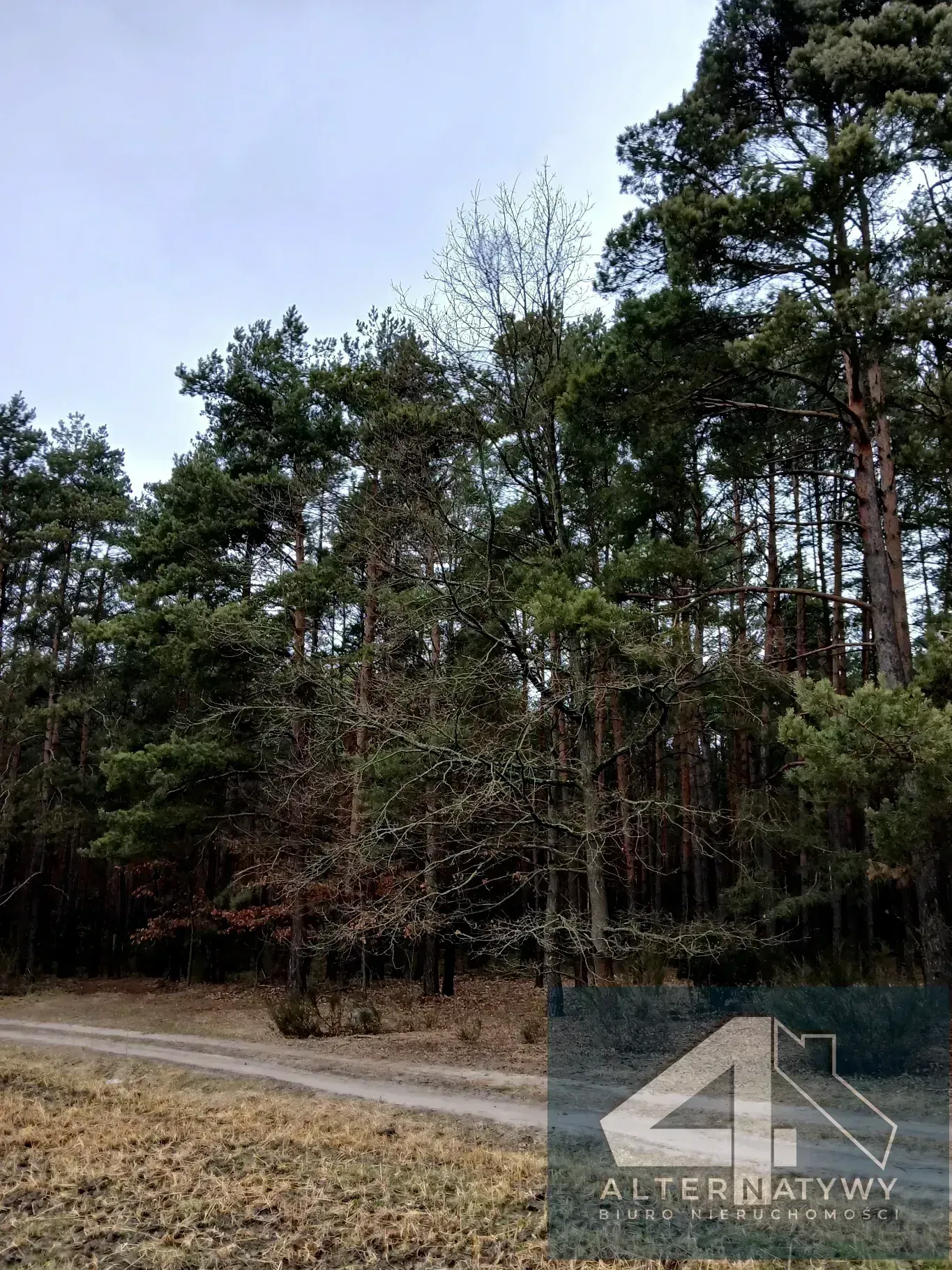 Siedlisko, stodoła, garaż, ziemia. 7