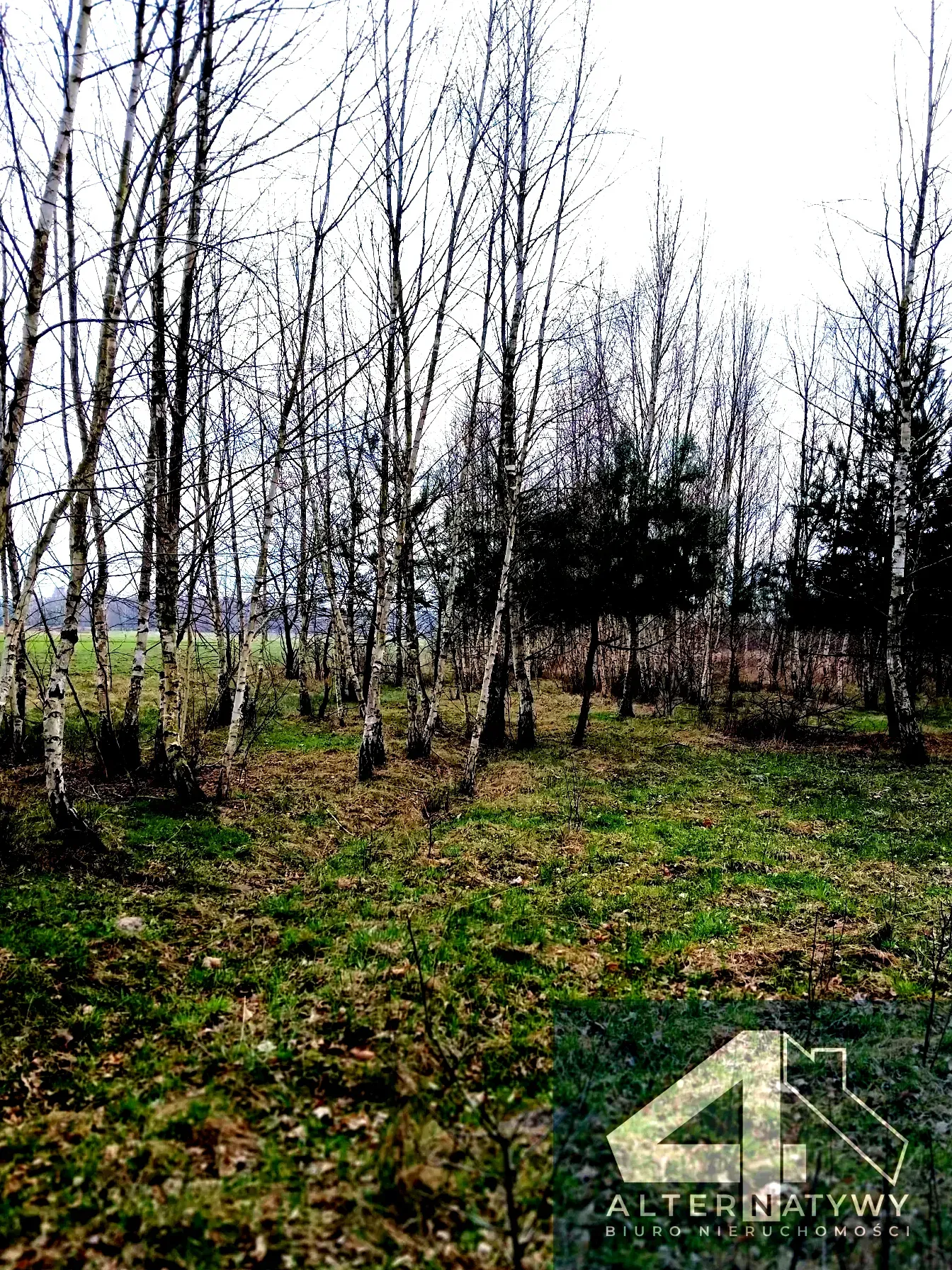 Dobra cena i dom, dwa garaże, działka. 5