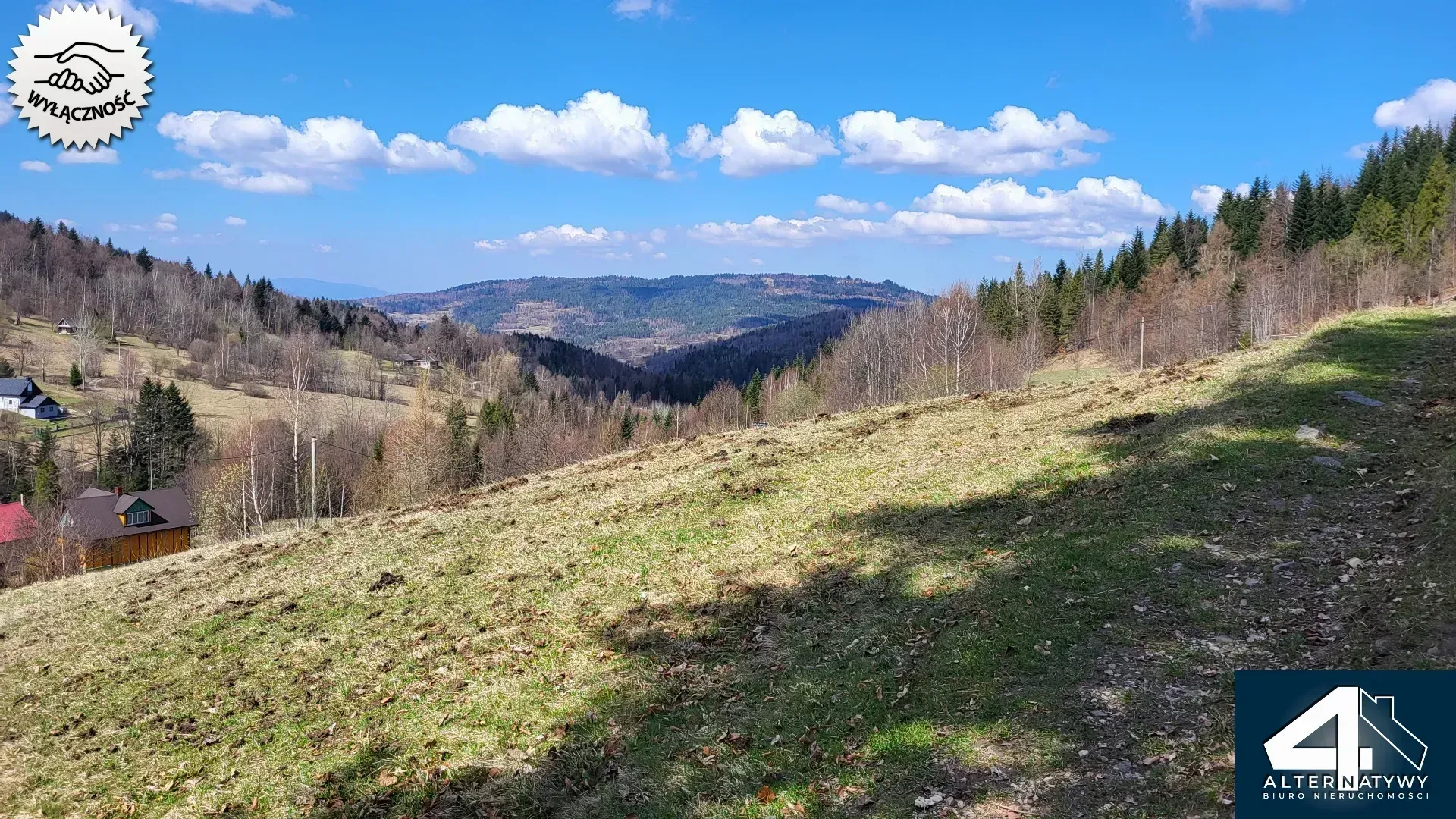 Działka budowlana z własnym lasem 4
