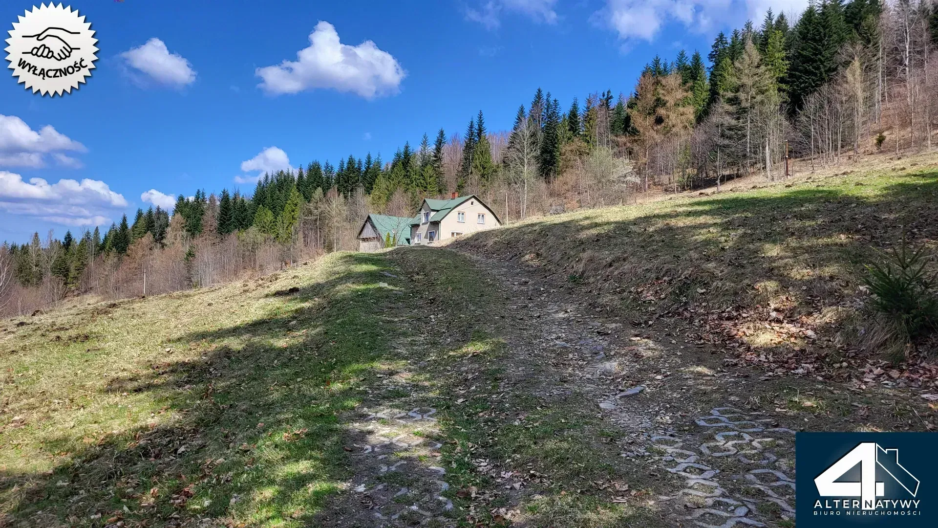 Działka budowlana z własnym lasem 3
