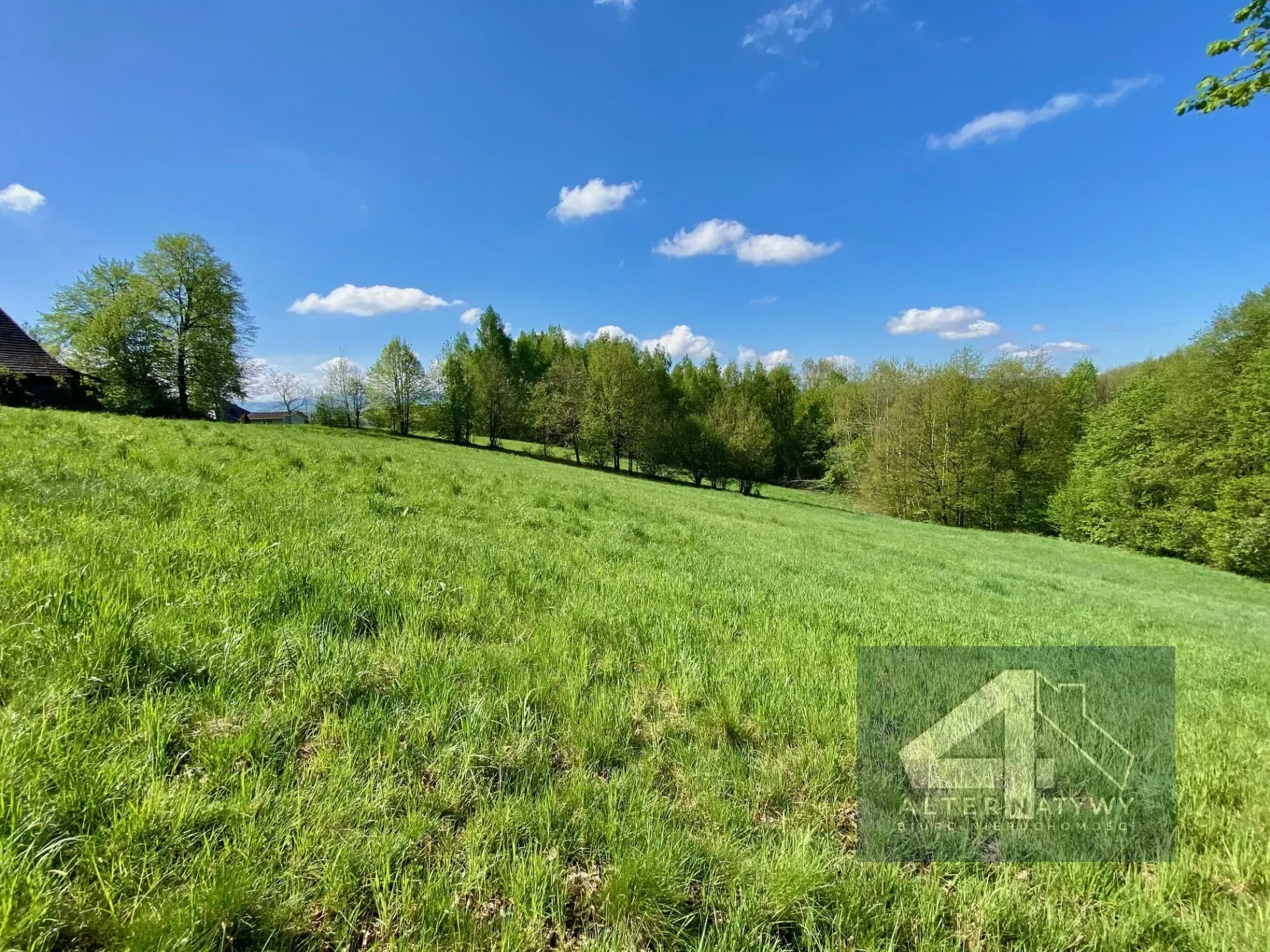 Działka pod Krakowem - Okazyjna cena!! 4