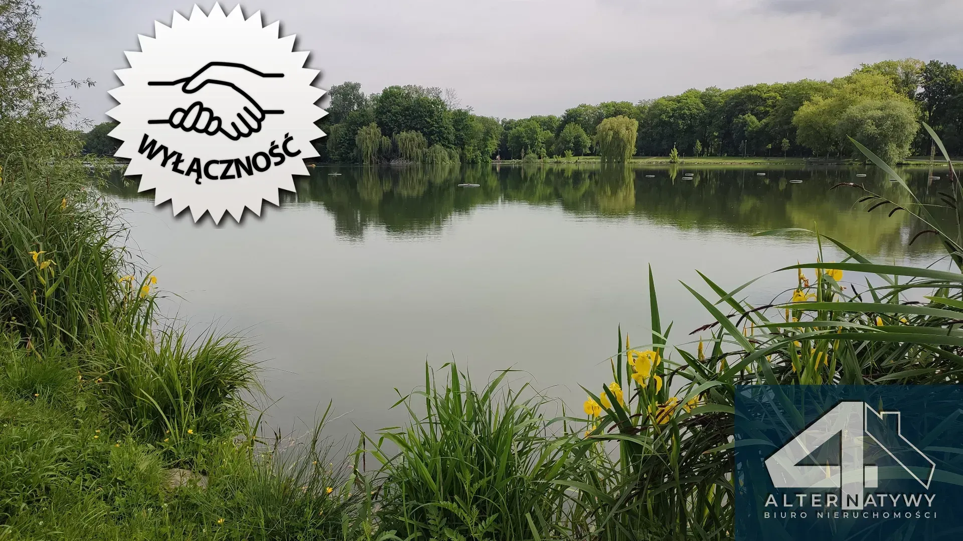 Ustawne obok Zalewu Nowohuckiego 1