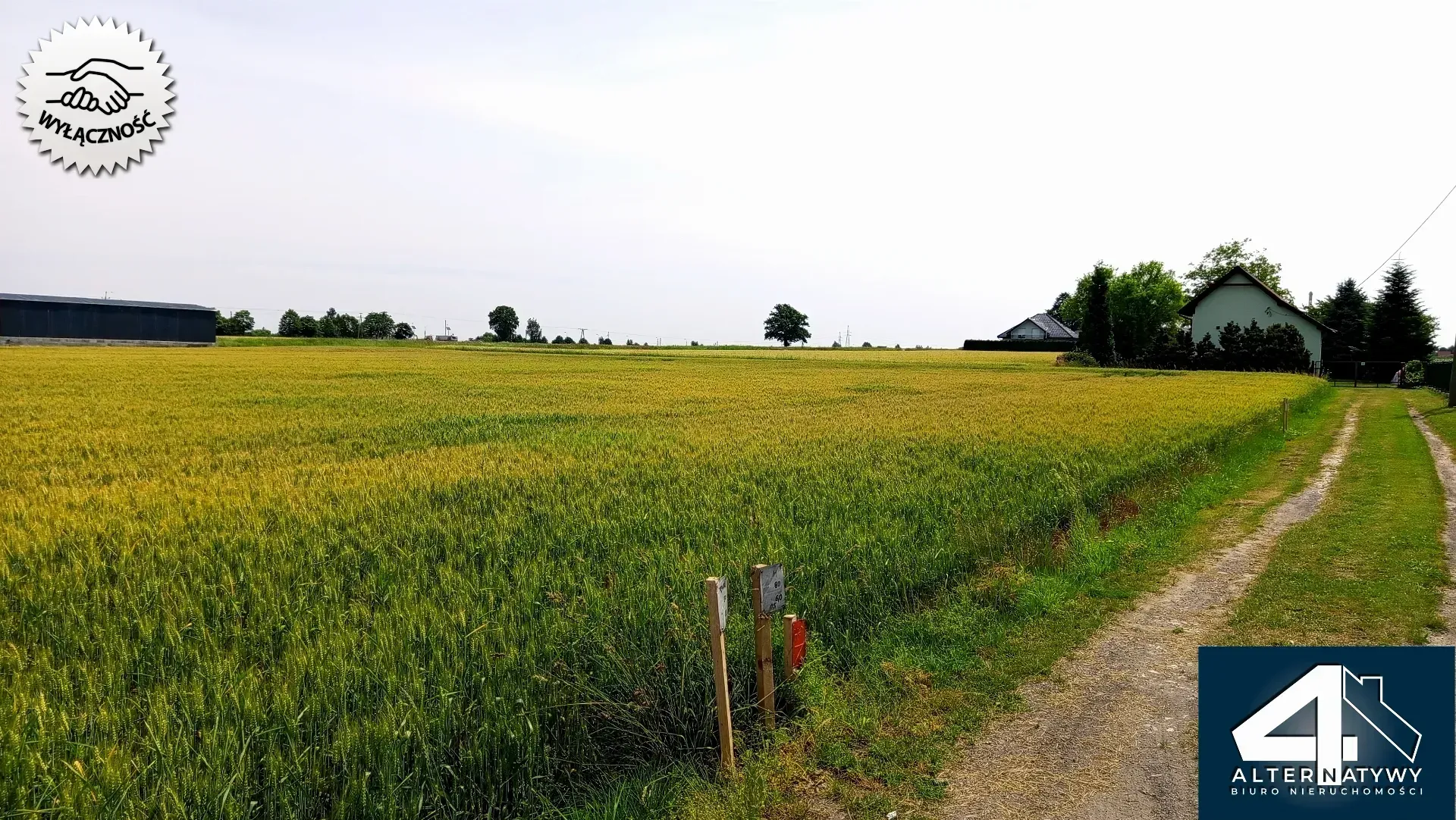 Działka budowlana w Bieruniu (Ściernie) z DROGĄ 7