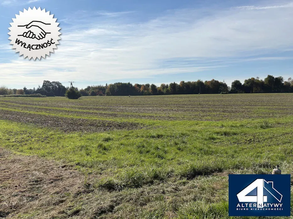 Ostatnie w okolicy Balic inwestycyjne 4,7 ha 3