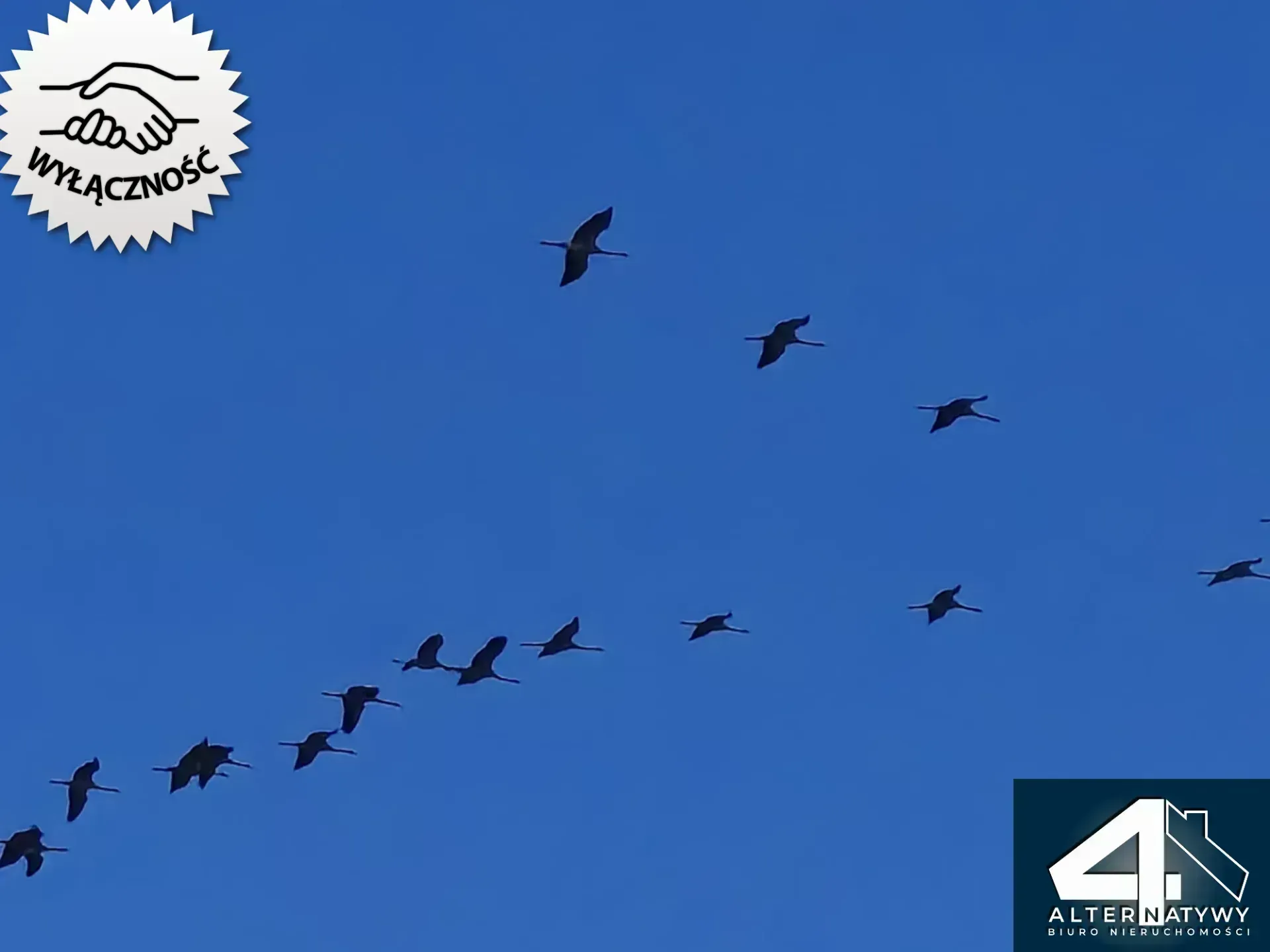 Dom na wsi szuka nabywcy. 14