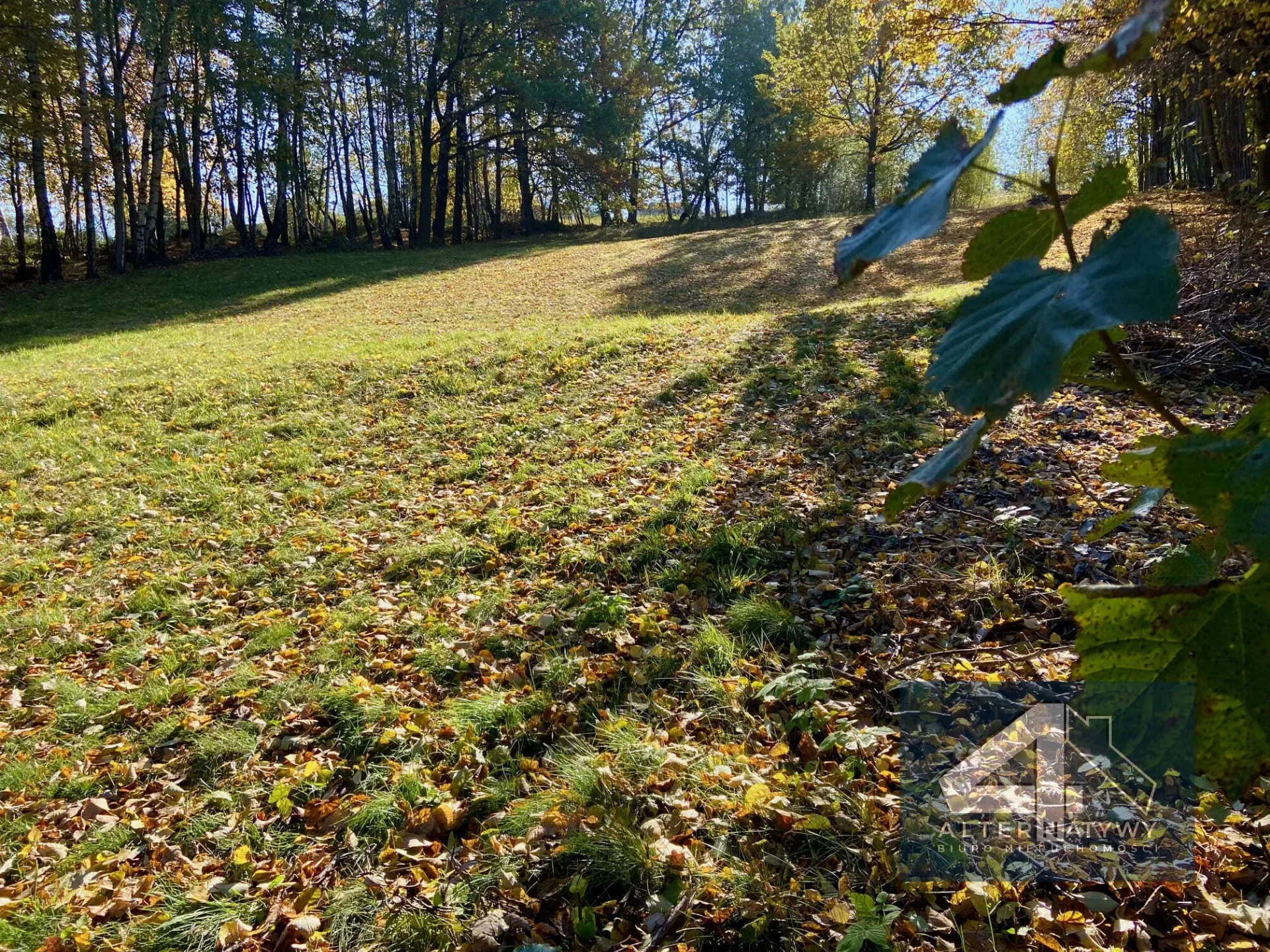 Działka 13 arów w dobrej lokalizacji! 2