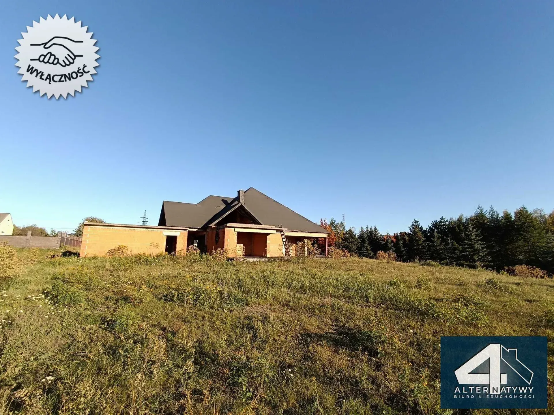 Dom, ogromna działka, potencjał po horyzont 5