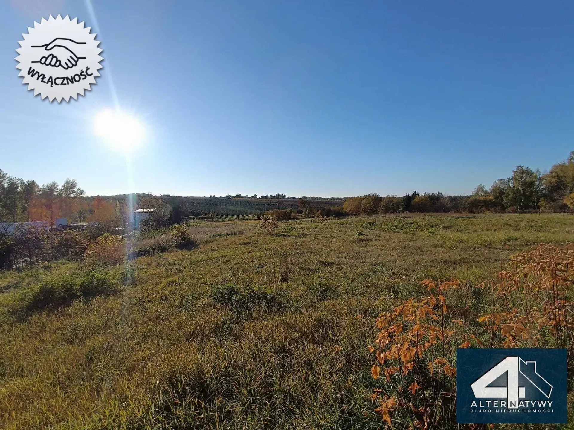 Dom, ogromna działka, potencjał po horyzont 14