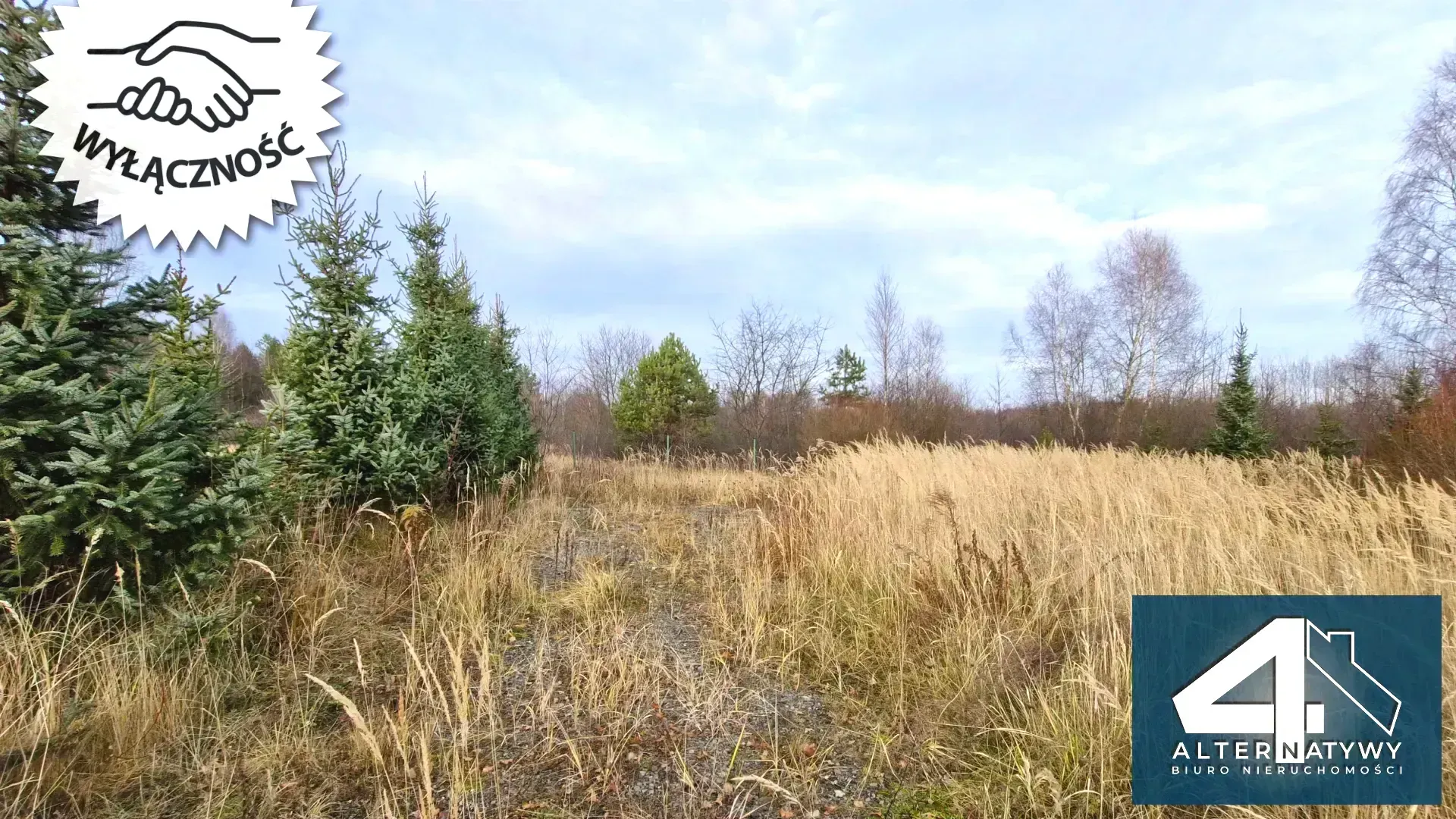 Malownicza działka we wsi Luta 5