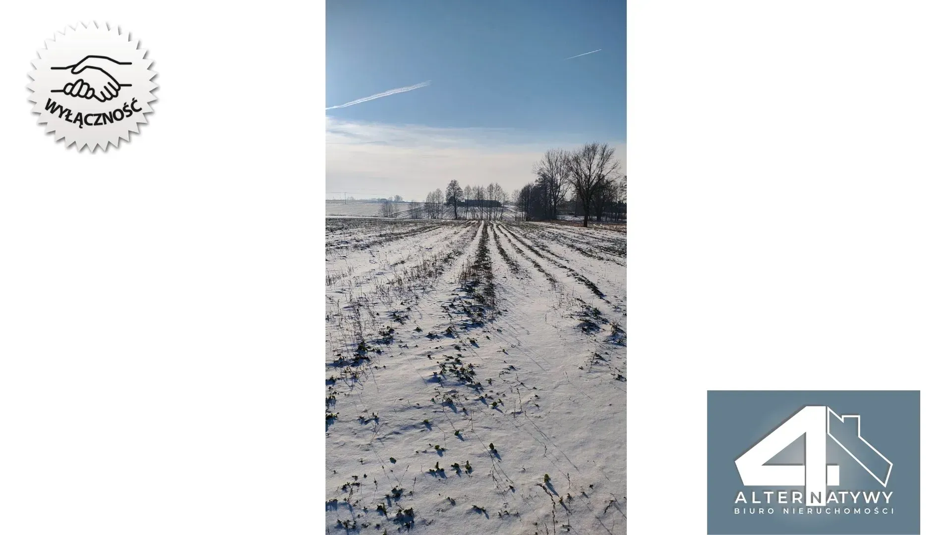 Działka z potencjałem na Twój dom z ogrodem 5