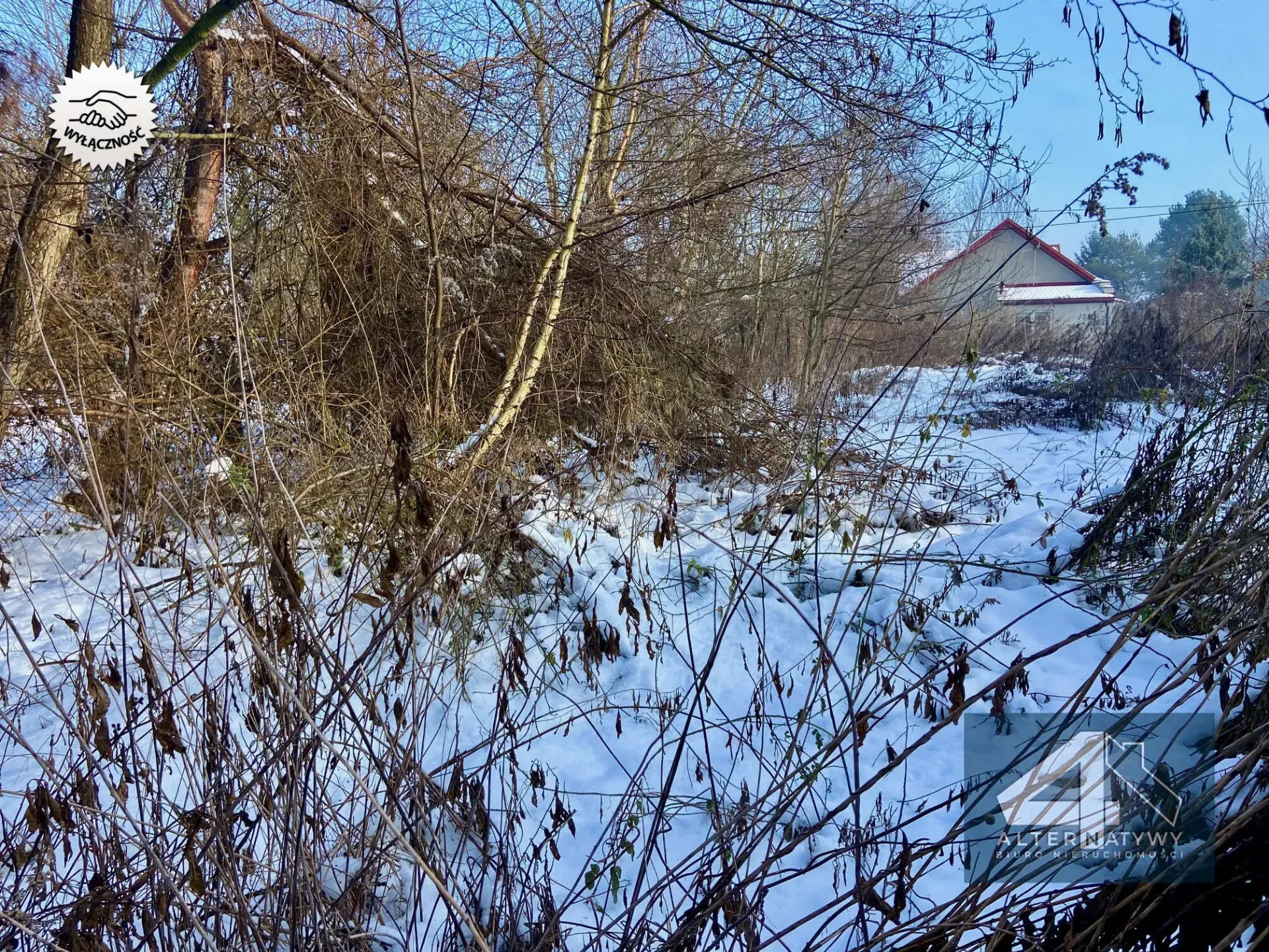 Działka 6 arów z projektem - Olszanica! 4