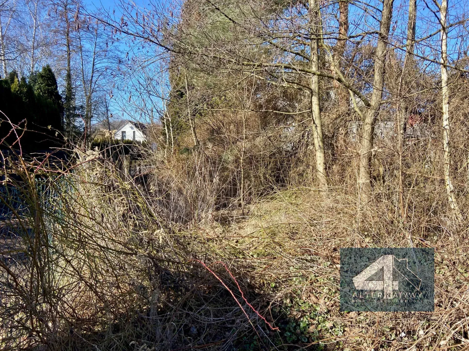 Działka 6 arów z projektem - Olszanica! 4