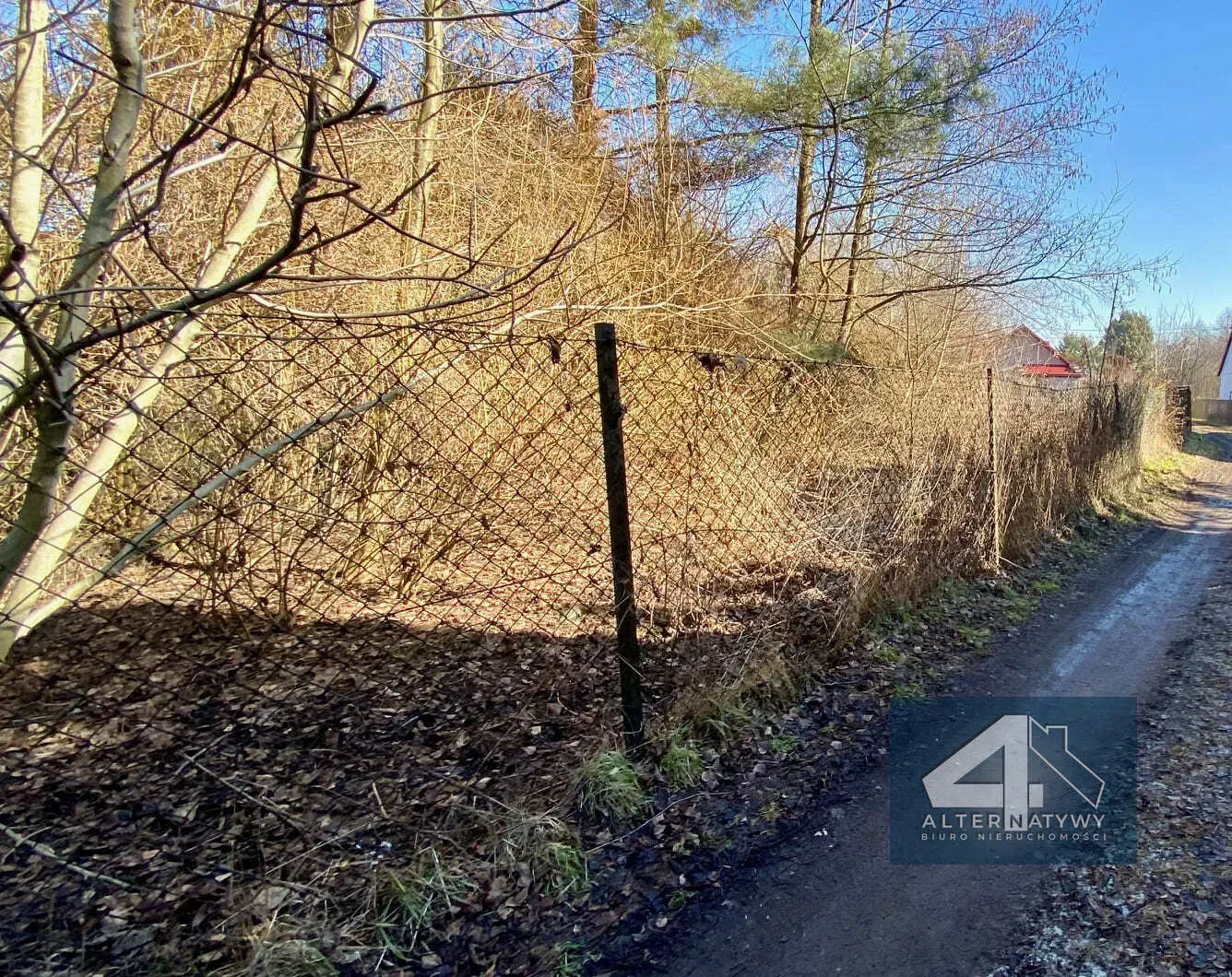 Działka 6 arów z projektem - Olszanica! 5