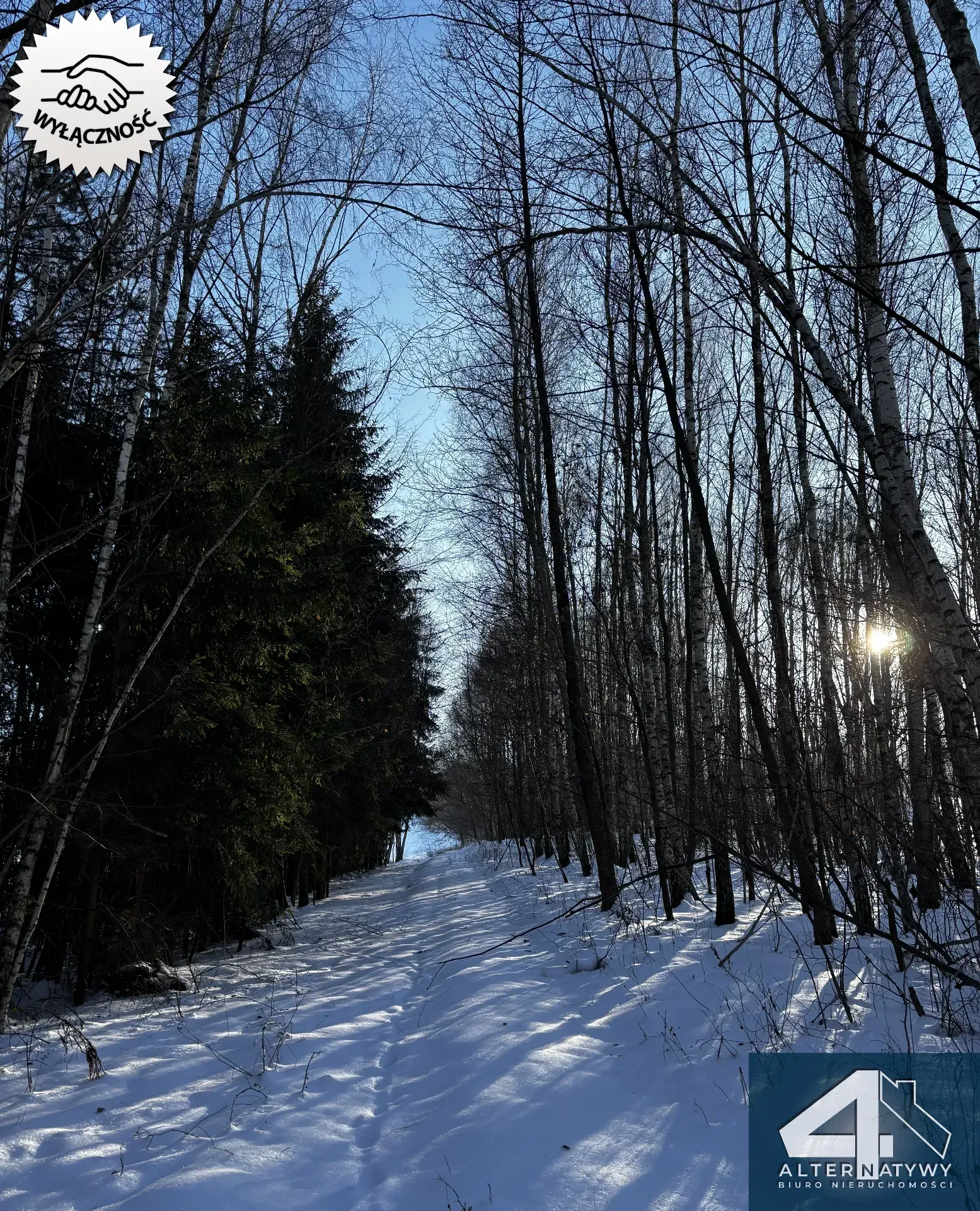 Wyjątkowa działka u podnóża Gór, gm. Bieliny 6