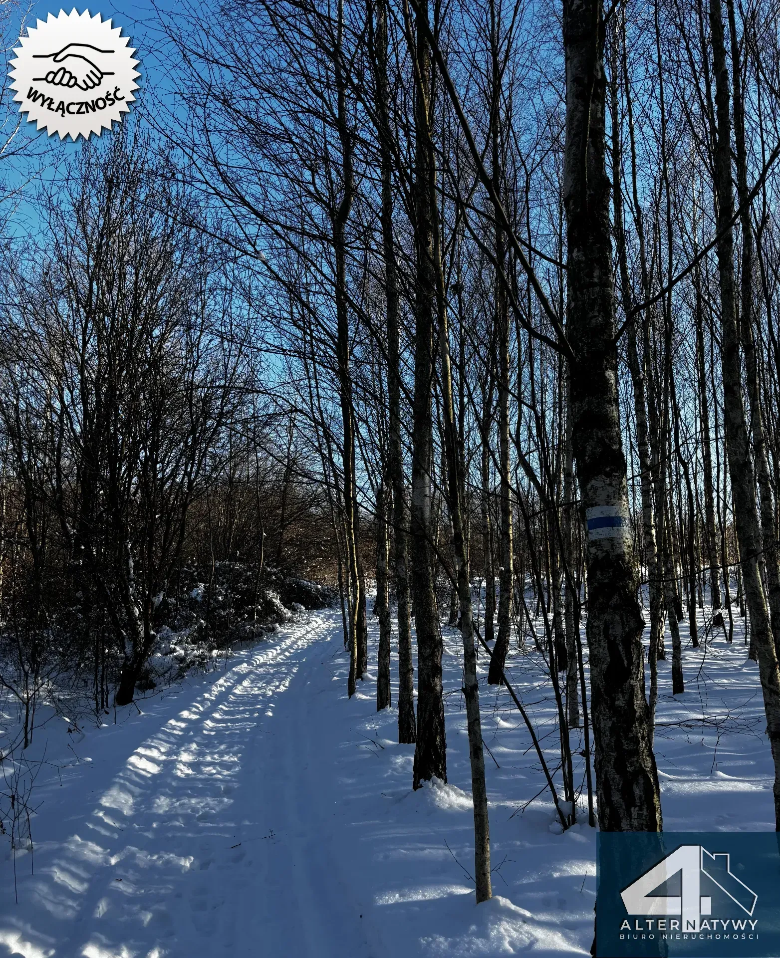 Wyjątkowa działka u podnóża Gór, gm. Bieliny 7