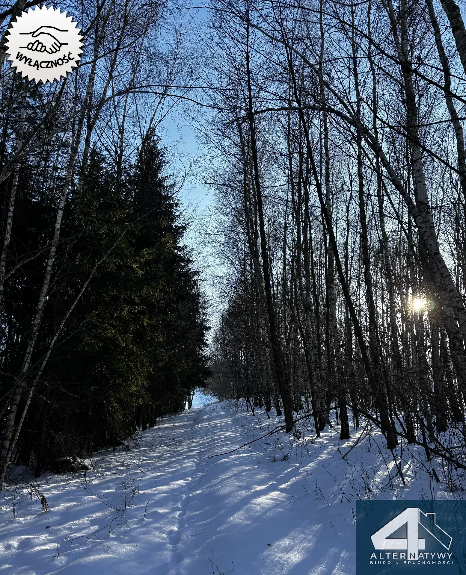 Wyjątkowa działka u podnóża Gór, gm. Bieliny 6