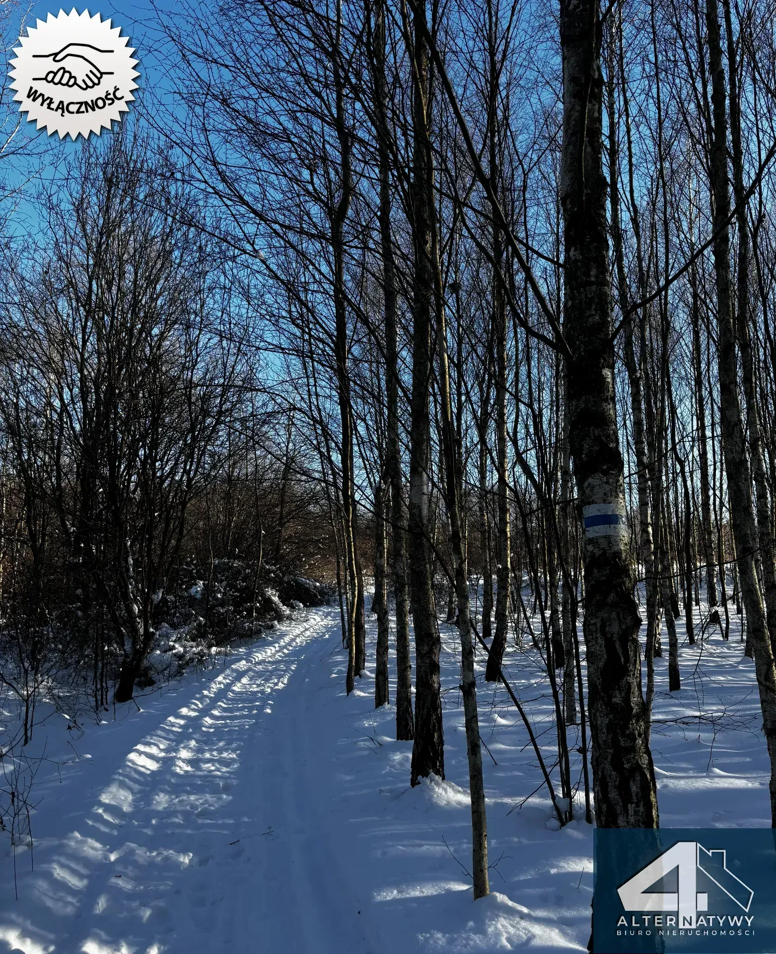 Wyjątkowa działka u podnóża Gór, gm. Bieliny 7