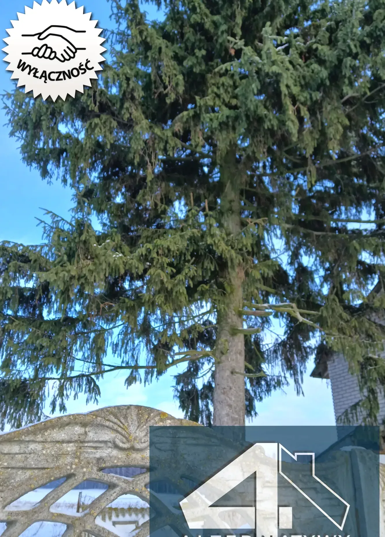 Stodoła na dom i prawie 3 hektary ziemi. 4