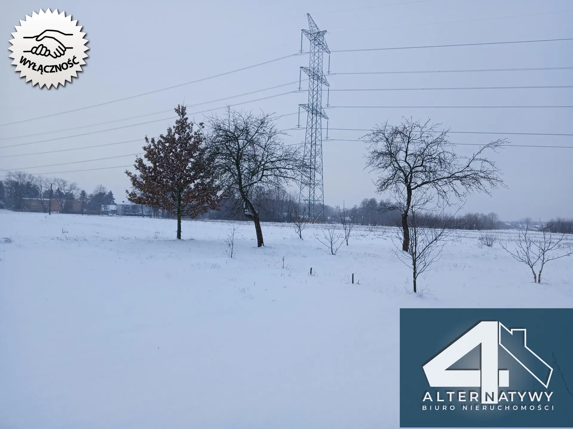 Stodoła na dom i prawie 3 hektary ziemi. 5