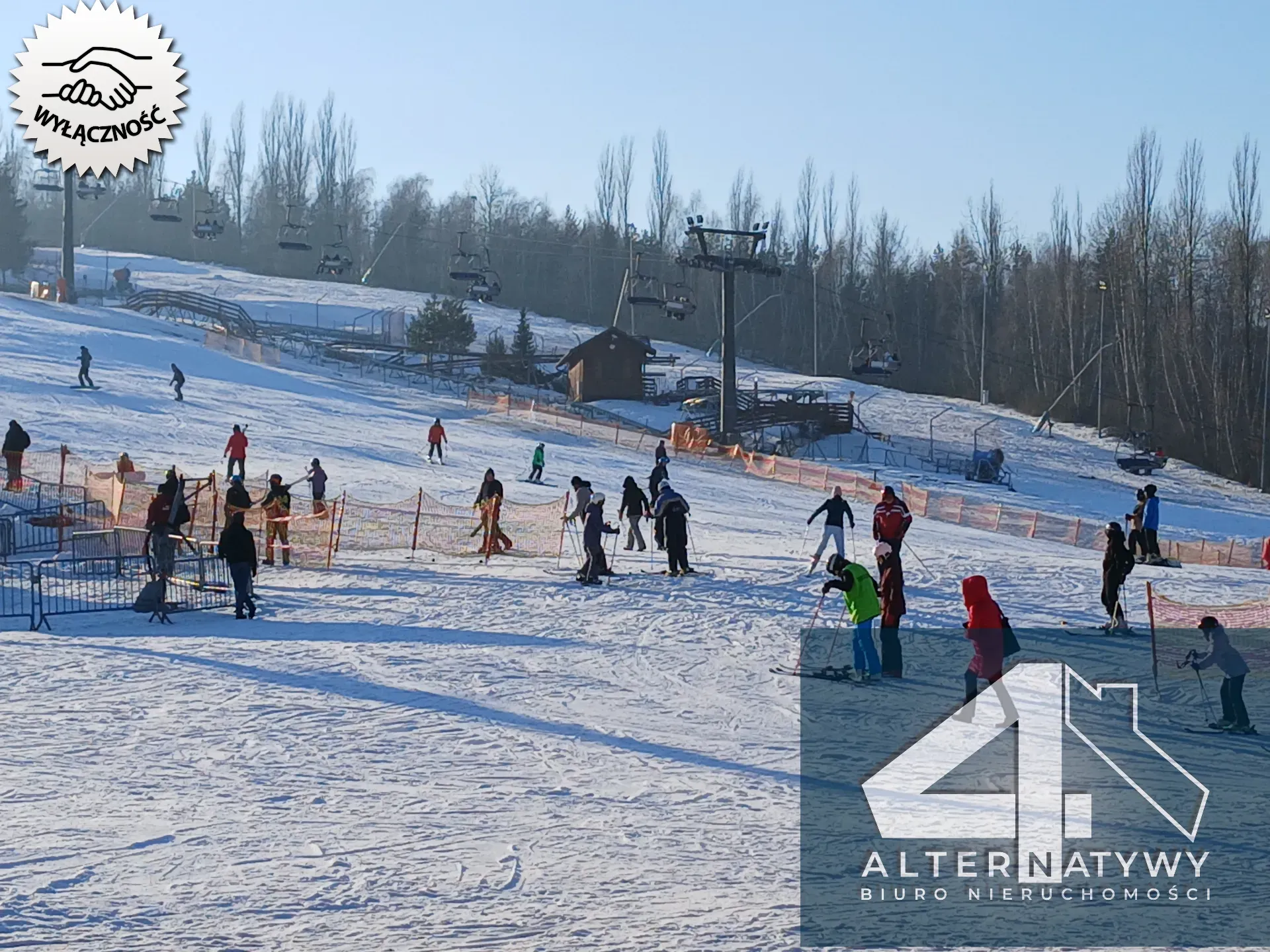 Stodoła na dom i prawie 3 hektary ziemi. 6