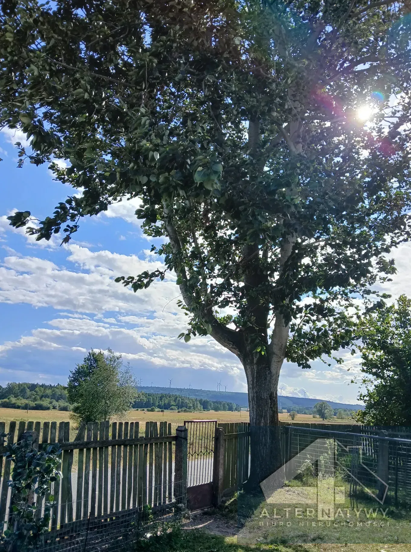 Piękny kawał ziemi 2