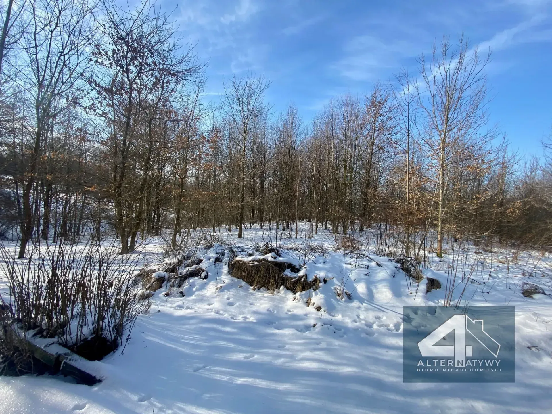 30 arów blisko Krakowa! 4