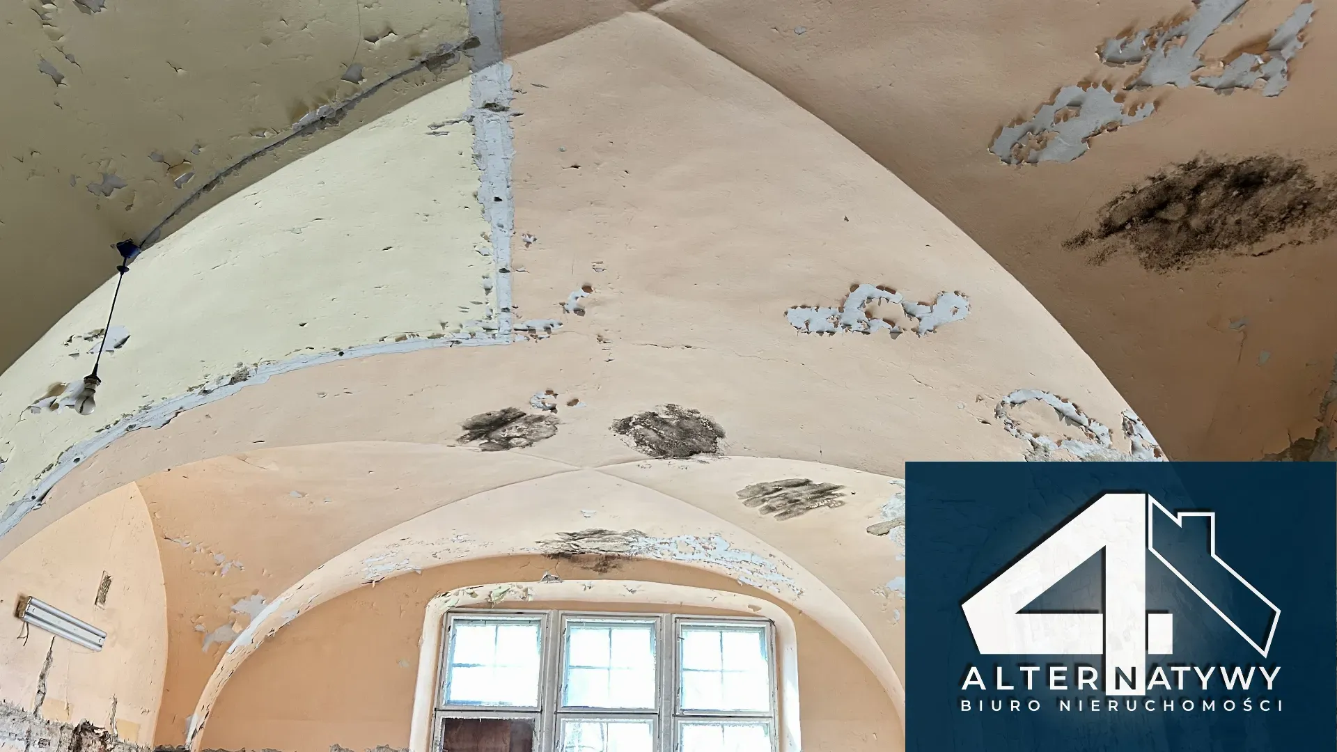 Paleja-Pałac w Pszczynie 13