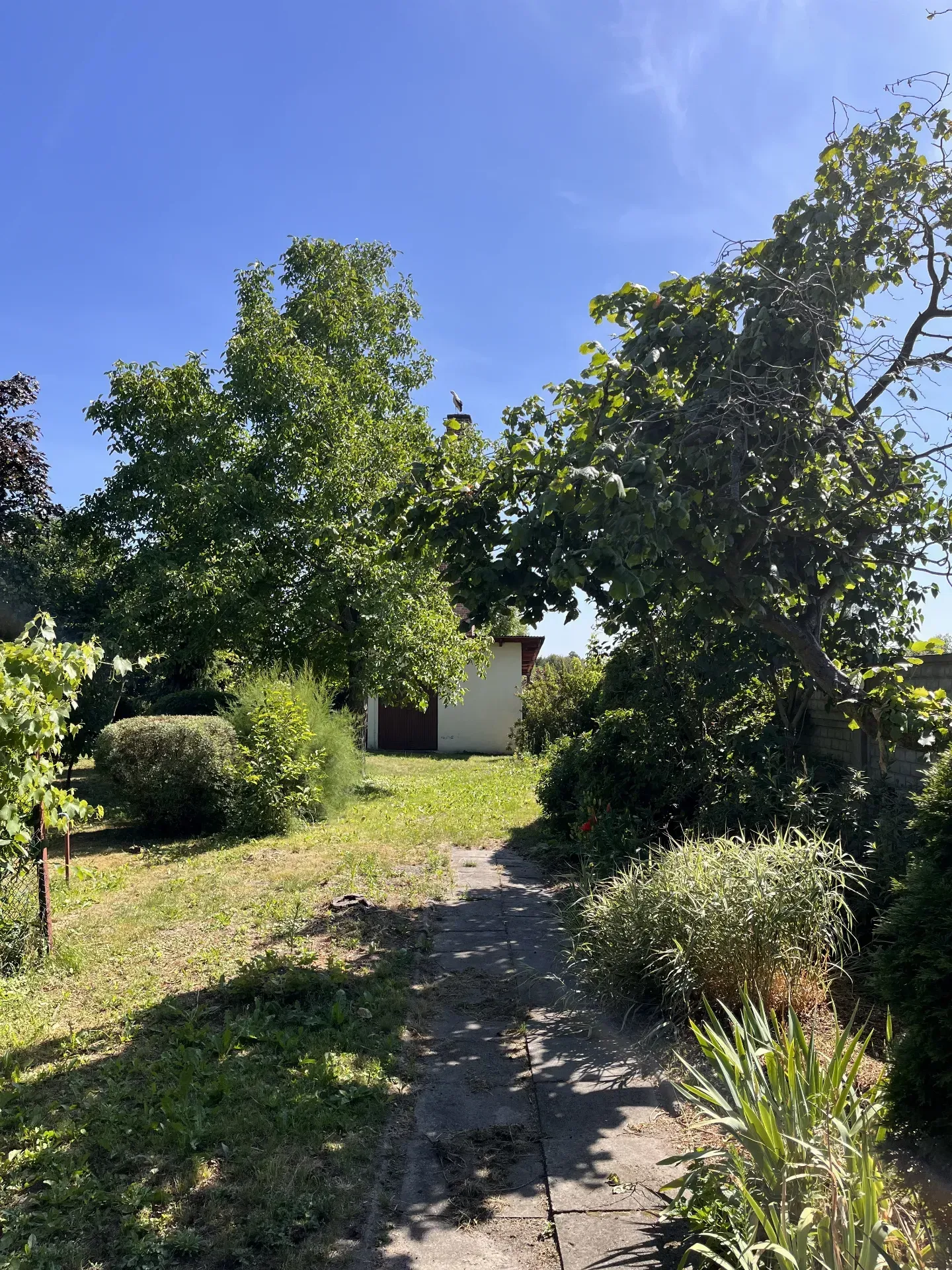 Dom na pięknej działce z dostępem do rzeki 9