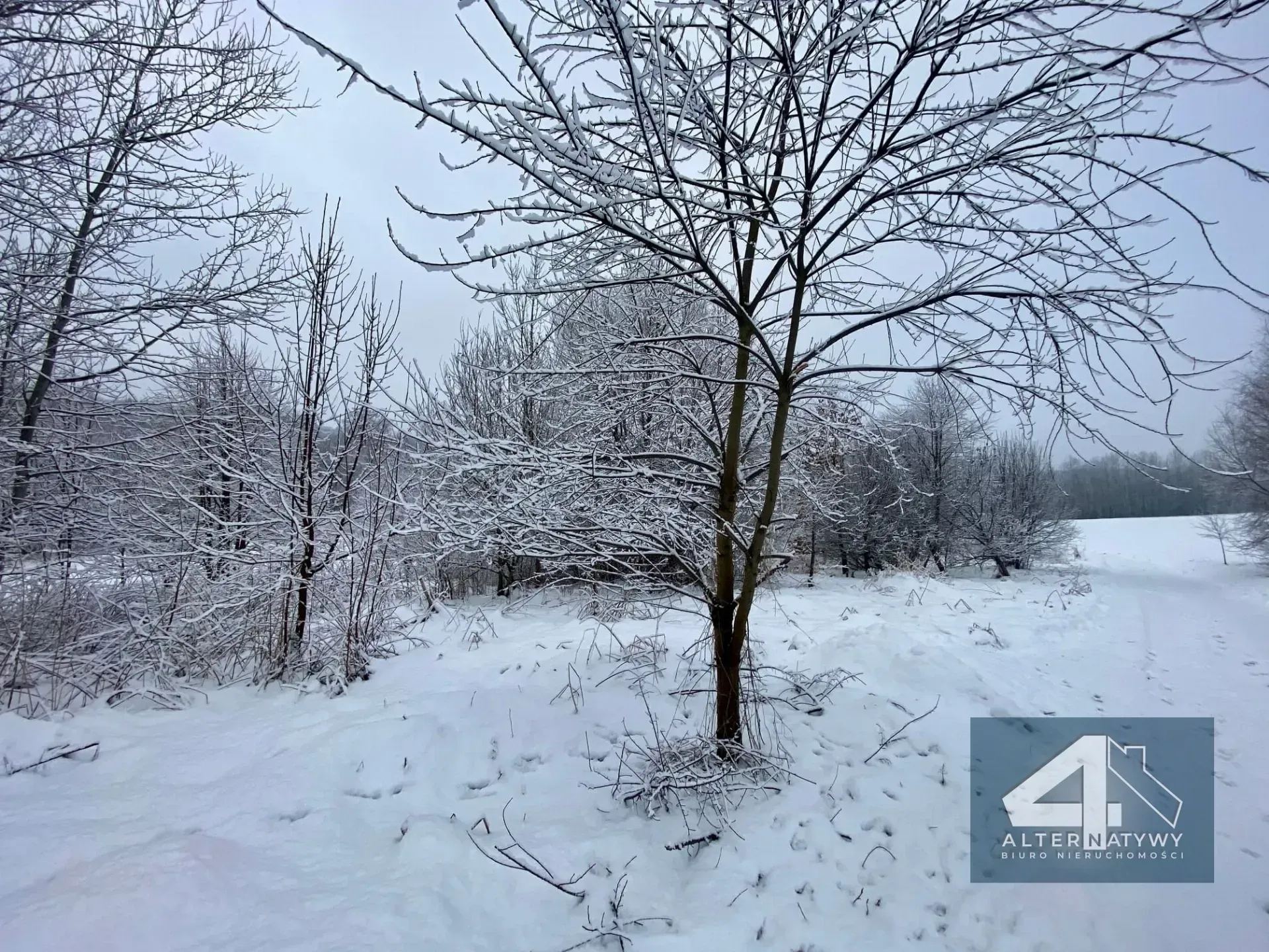Duża działka z potencjałem - blisko Krakowa! 5
