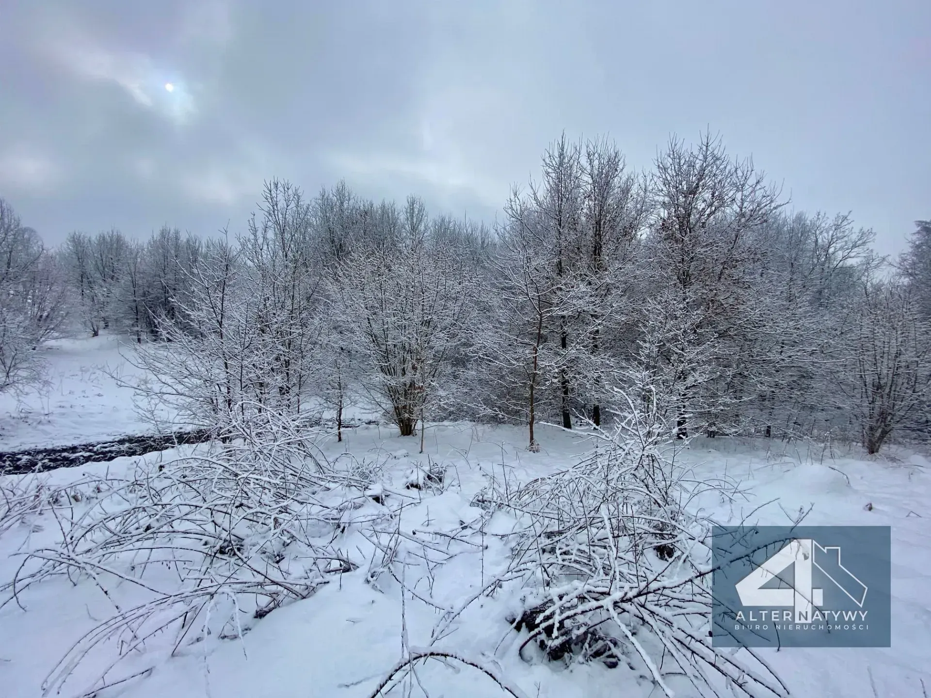Duża działka z potencjałem - blisko Krakowa! 6