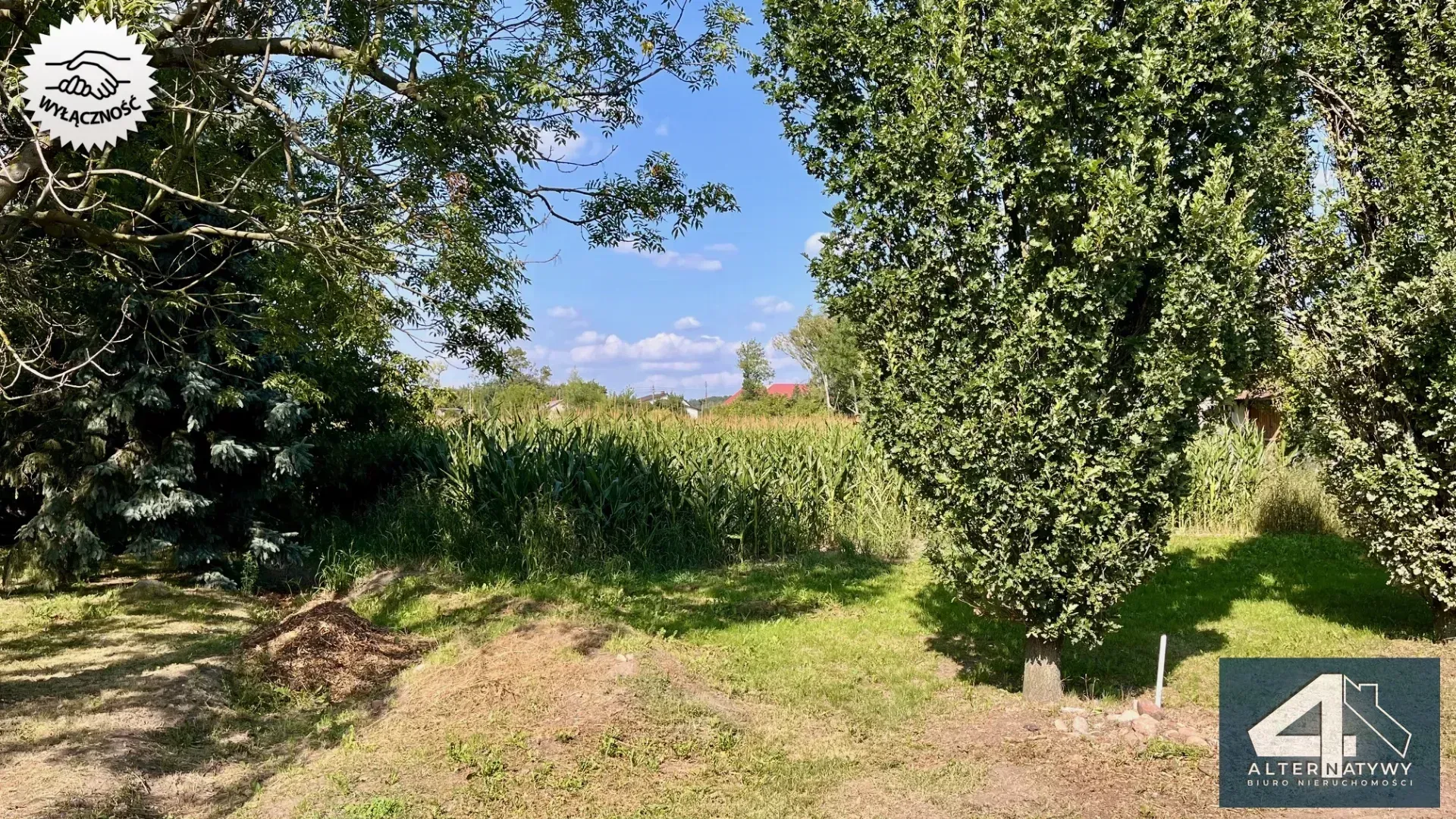 Duża działka z potencjałem 4