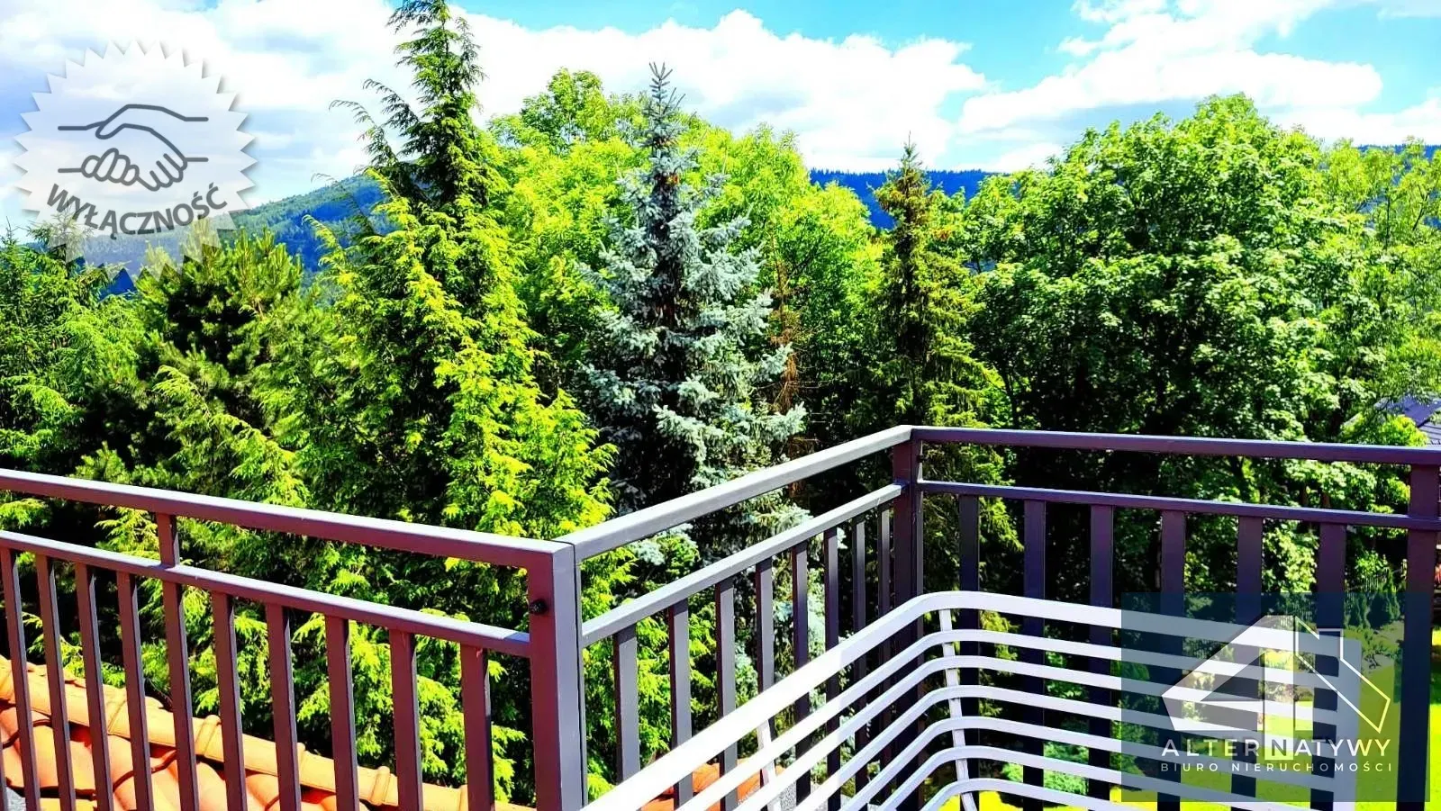 Willa z basenem i widokiem, 8 pokoi, Myślenice 20