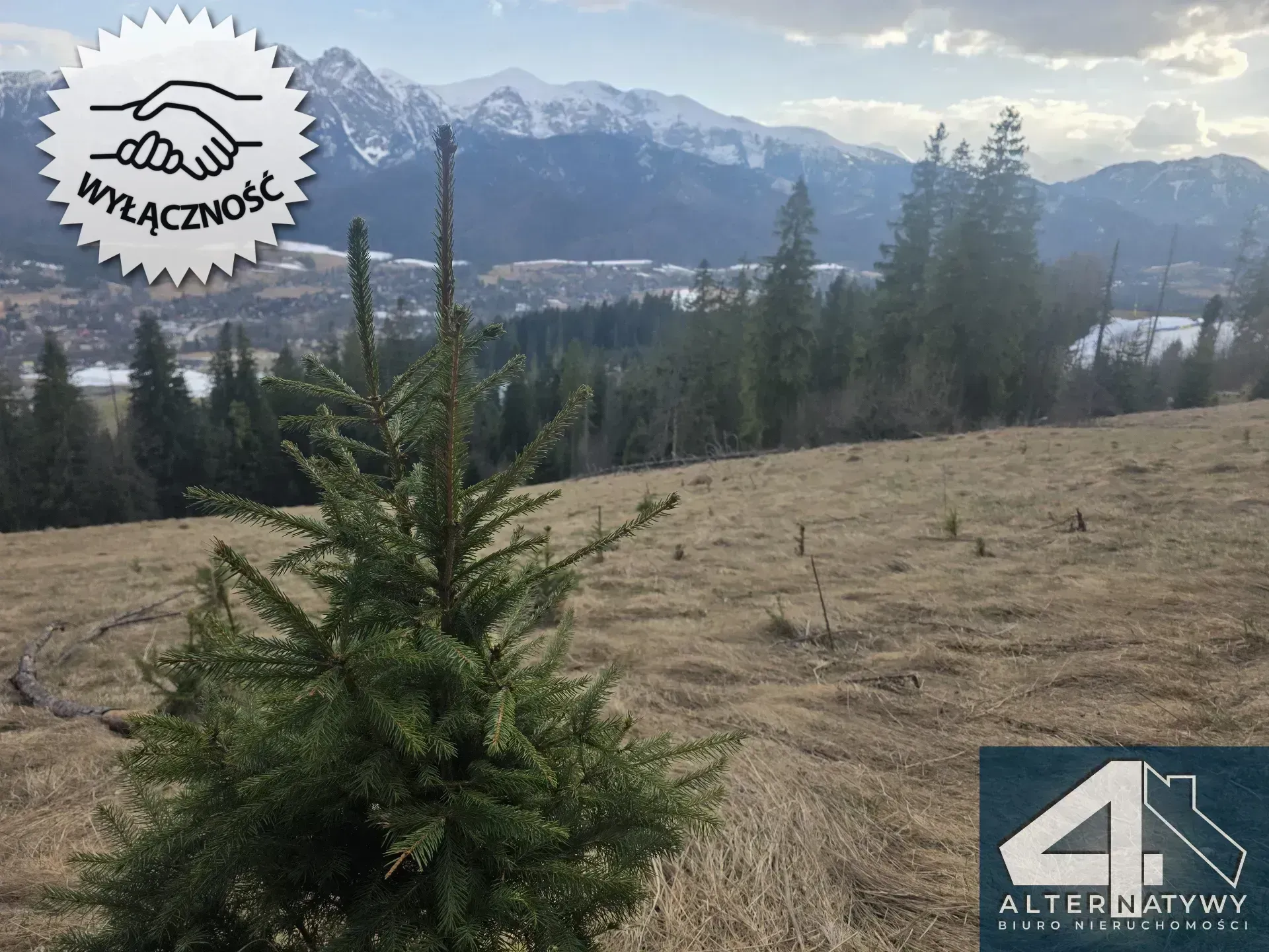 Działka na Gubałówce z widokiem na Tatry 5