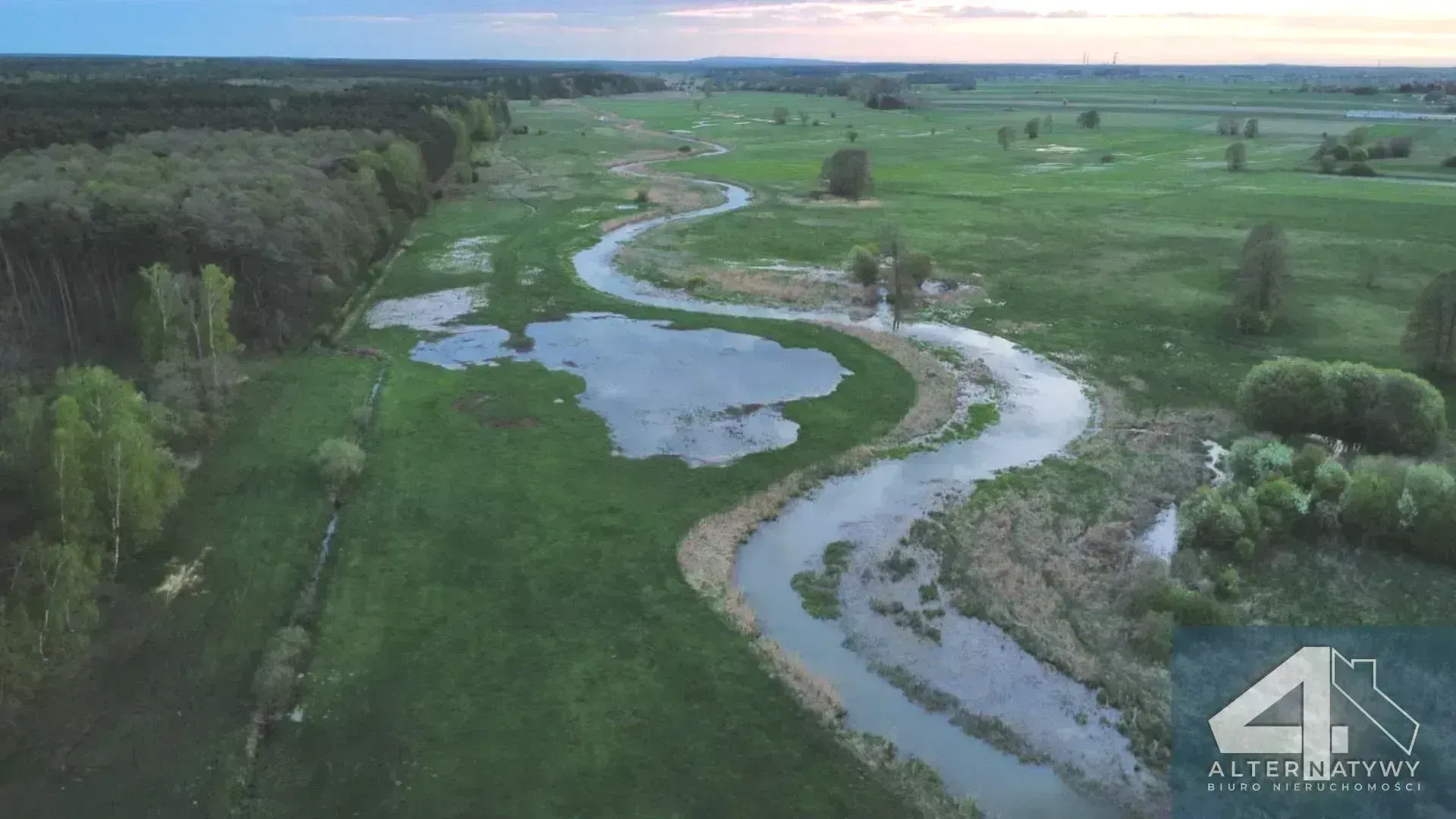Działka | natura | okolice rzeki Luciąża 3
