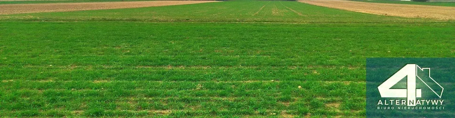 Działka | natura | okolice rzeki Luciąża 11