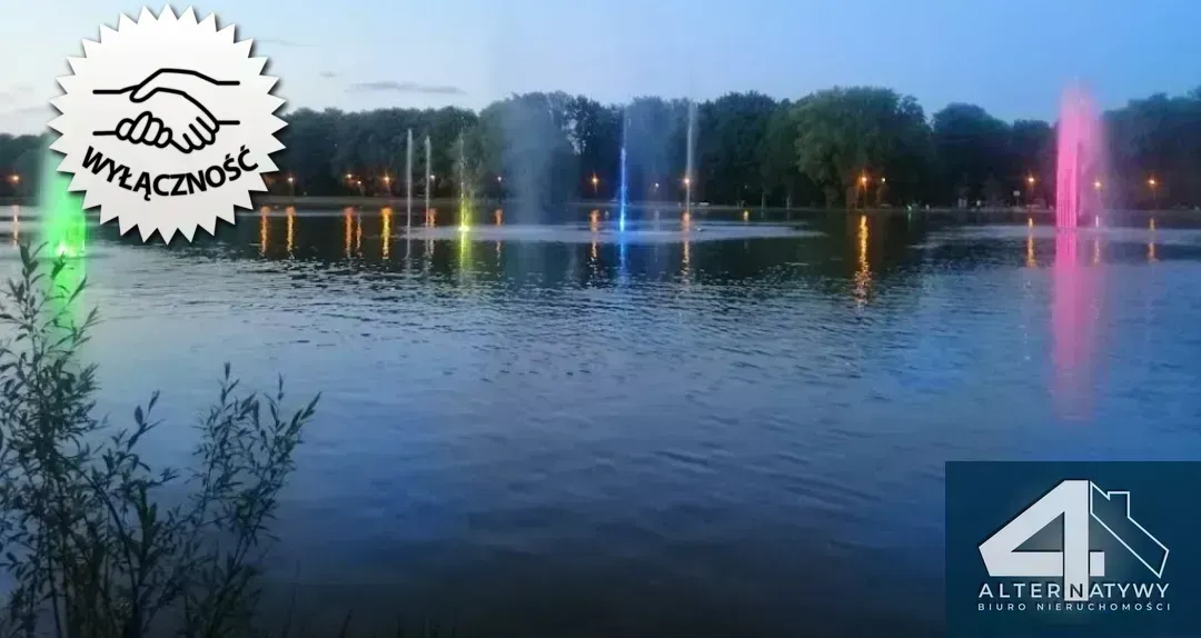 Ustawne  obok Zalewu Nowohuckiego 3