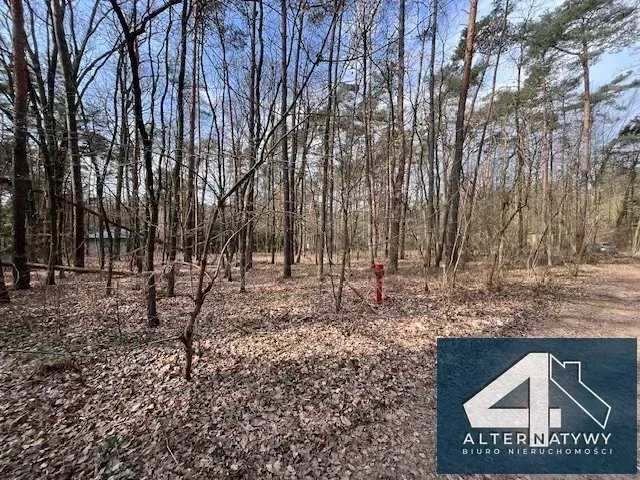 Działka w leśnym zaciszu Sokolnik 1680 m2 5