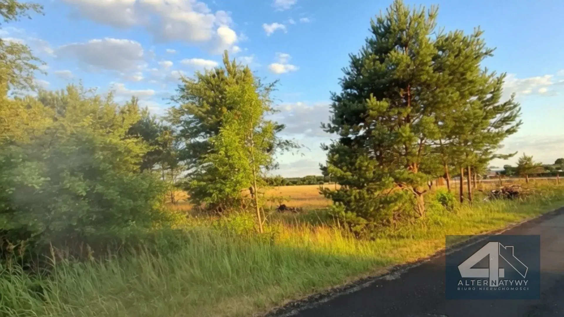 Działka przy lesie | Duże 3000m² 4