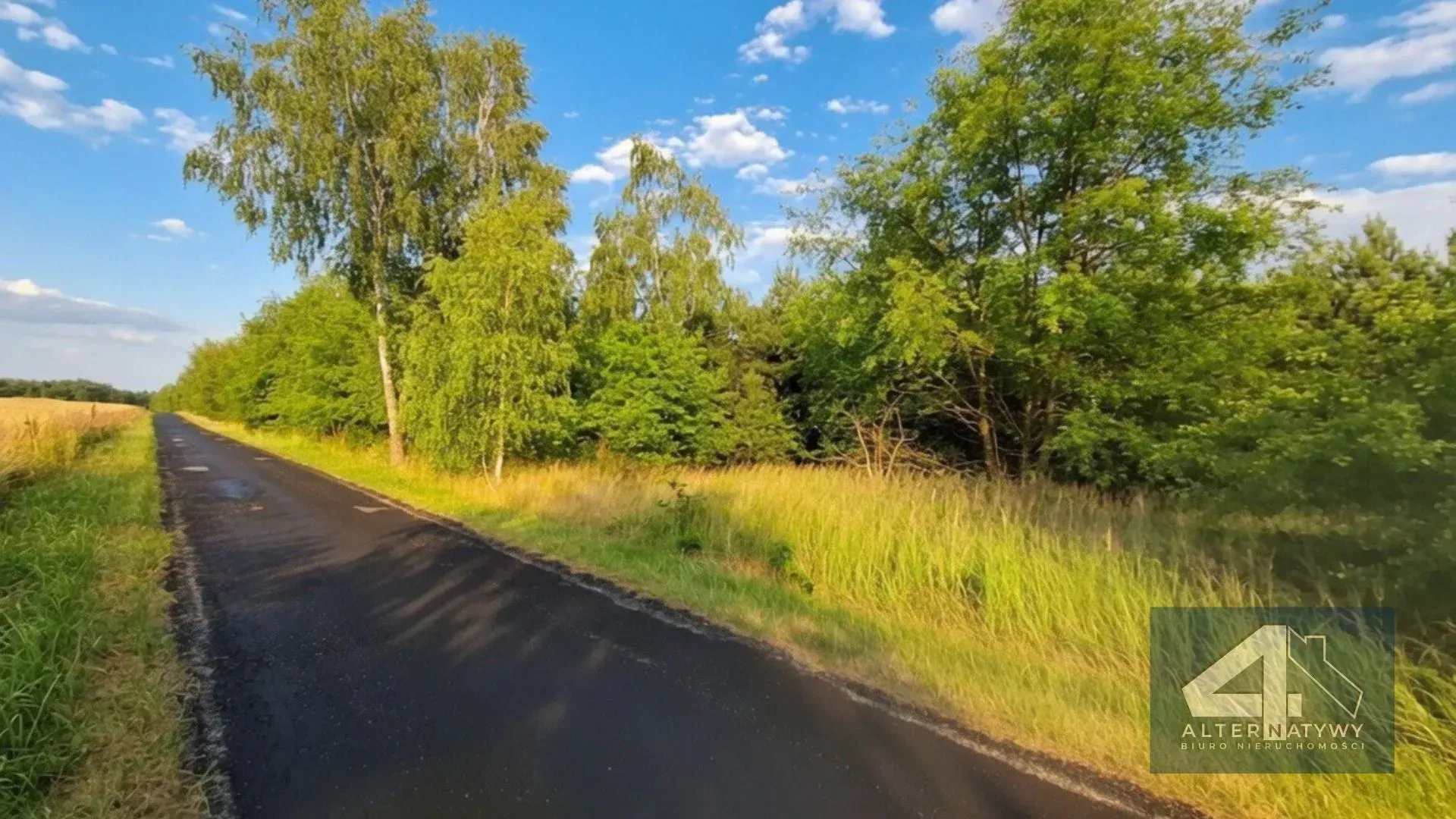 Działka przy lesie | Duże 3000m² 5
