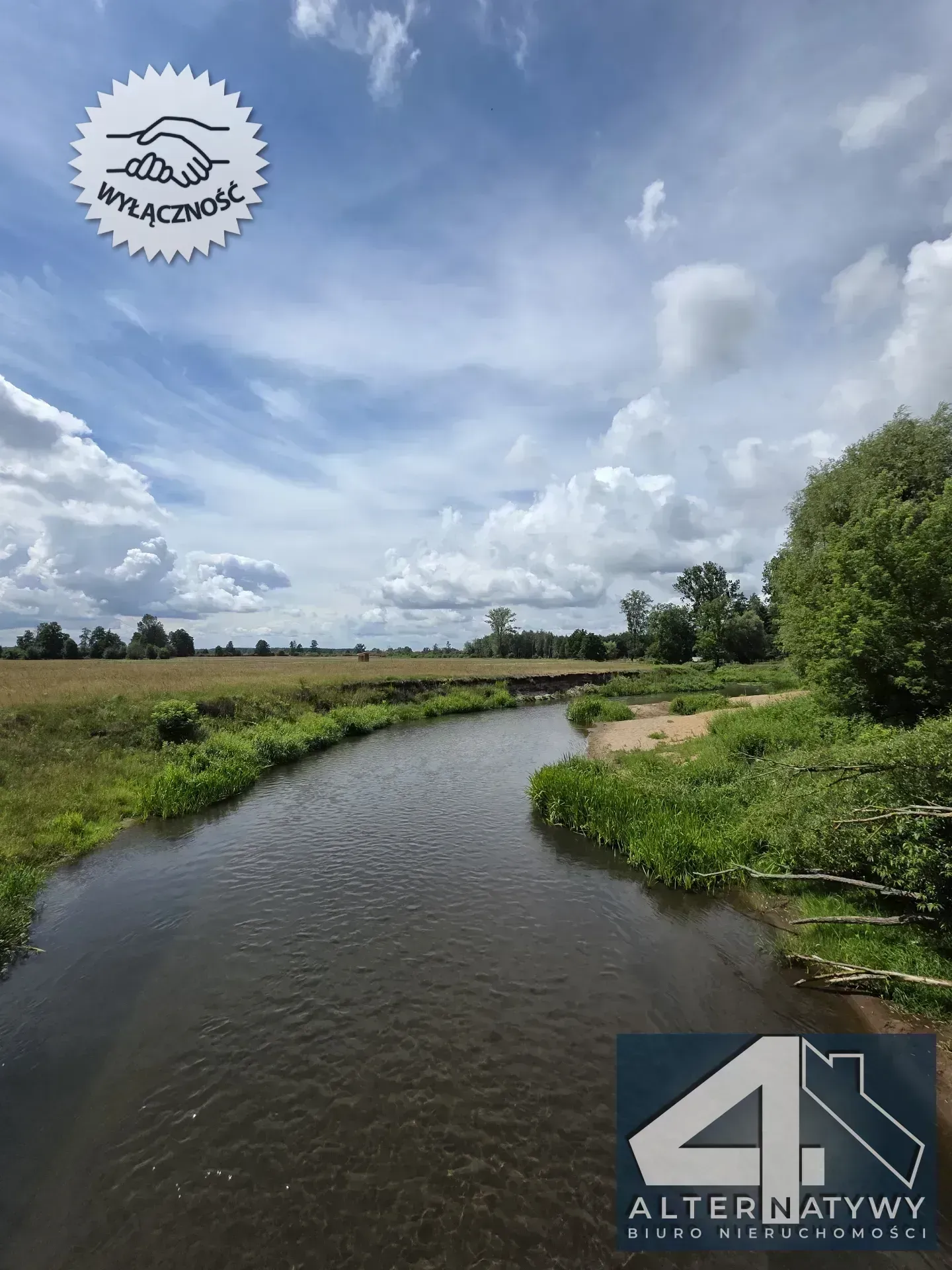 BORZYCHY | DOM 250 M OD LIWCA | 980 M² DZIAŁKI 18