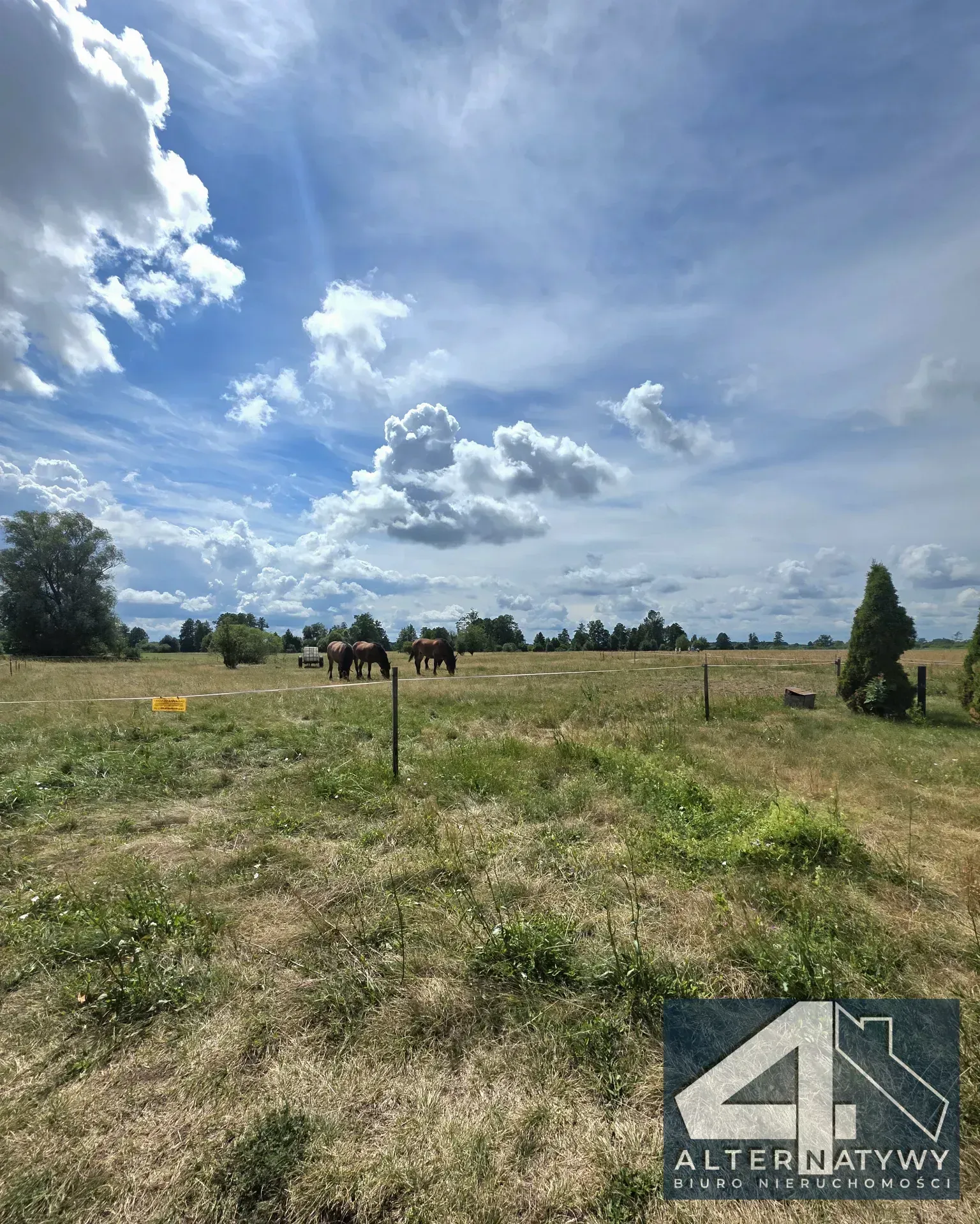 BORZYCHY | DOM 250 M OD LIWCA | 980 M² DZIAŁKI 20